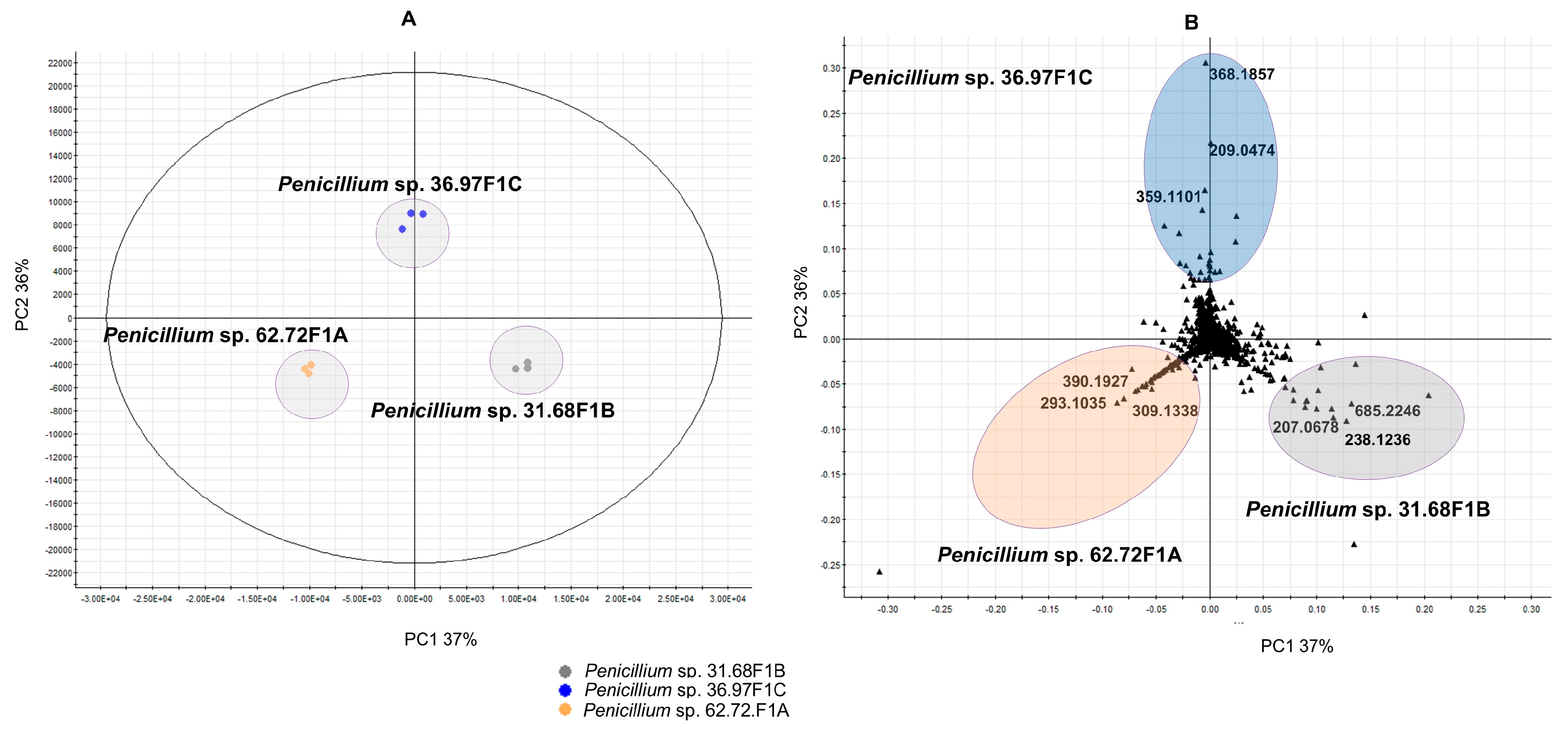 Marinedrugs 18 00128 g002