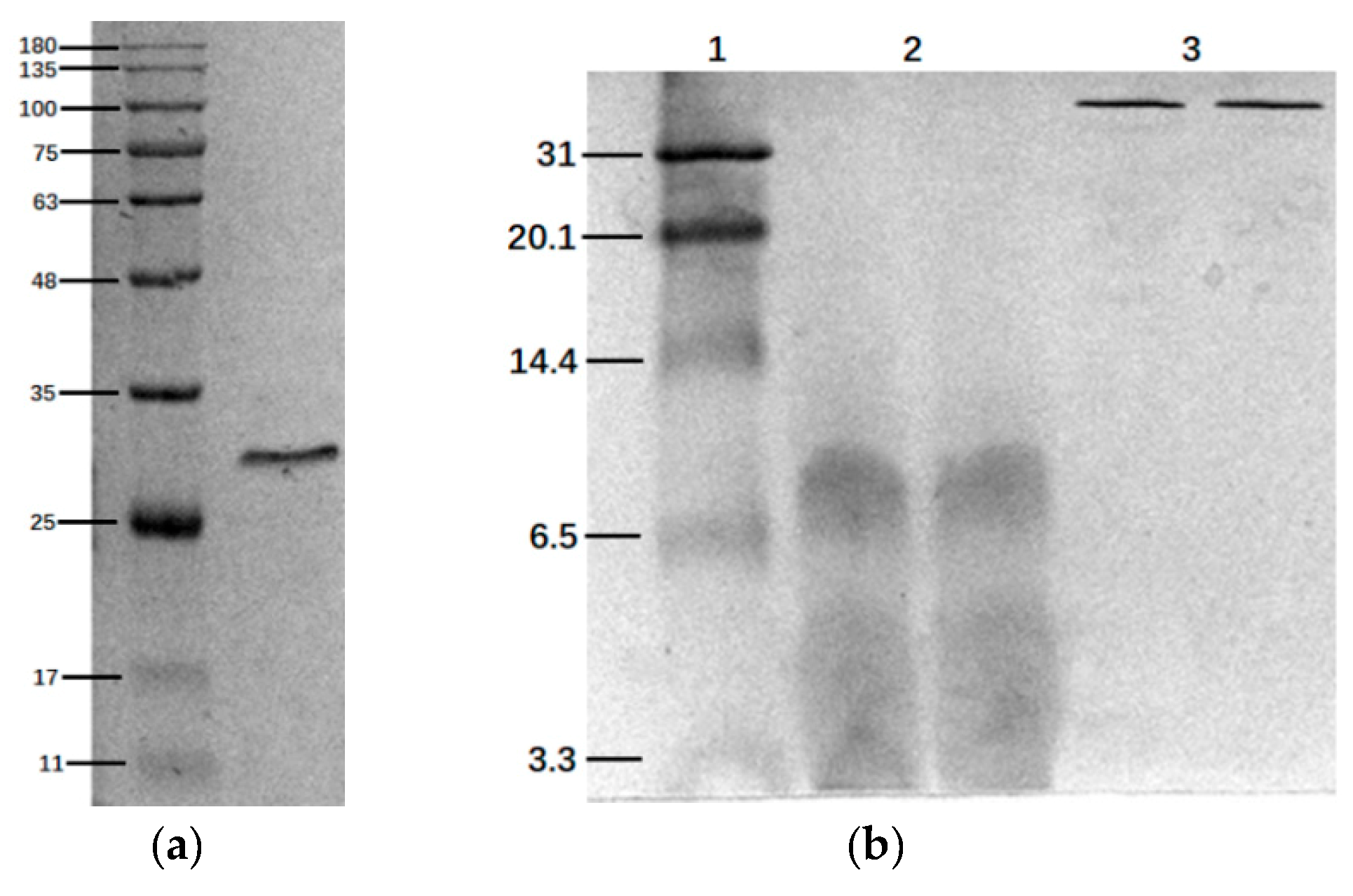 Marinedrugs 18 00133 g001