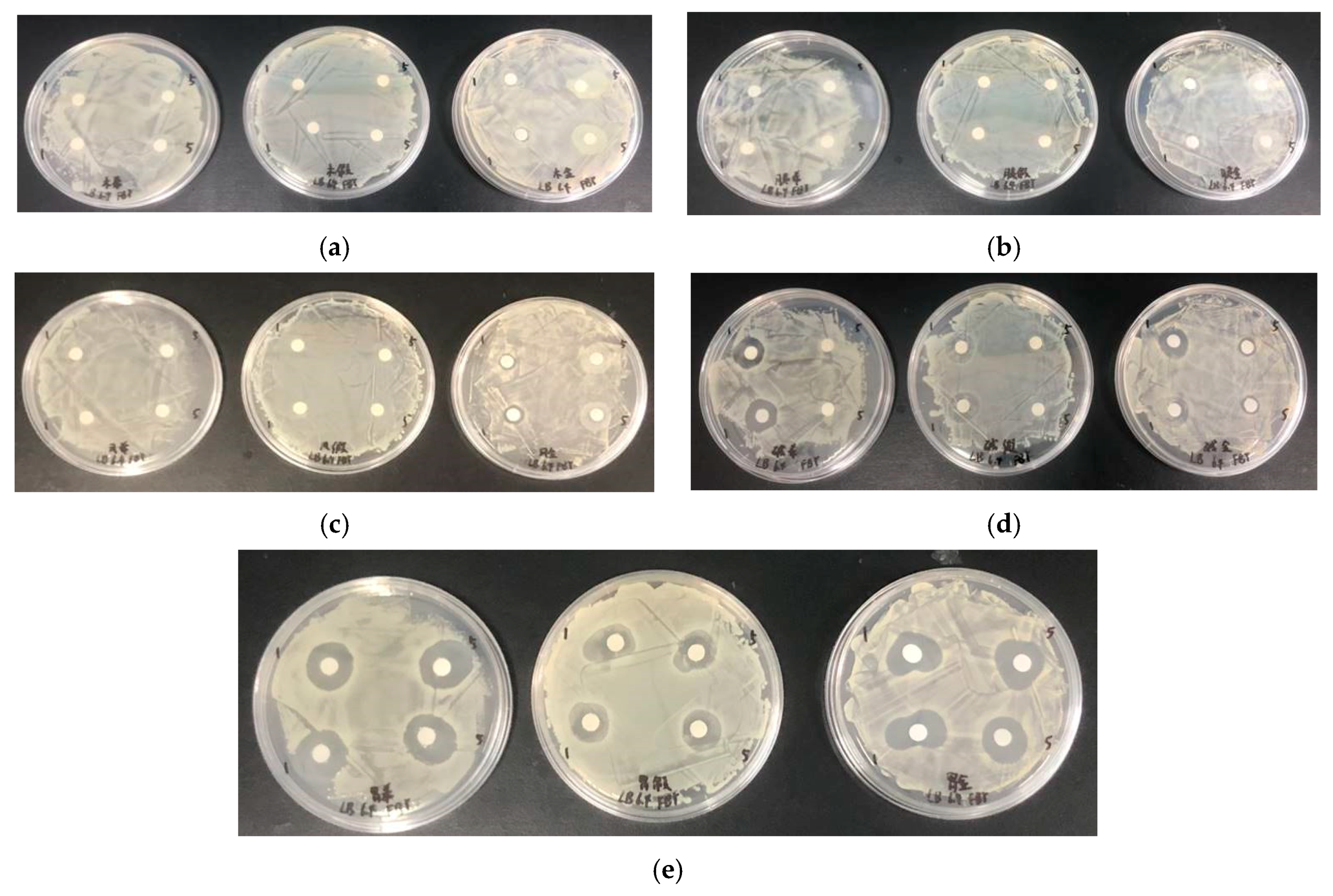 Marinedrugs 18 00133 g006