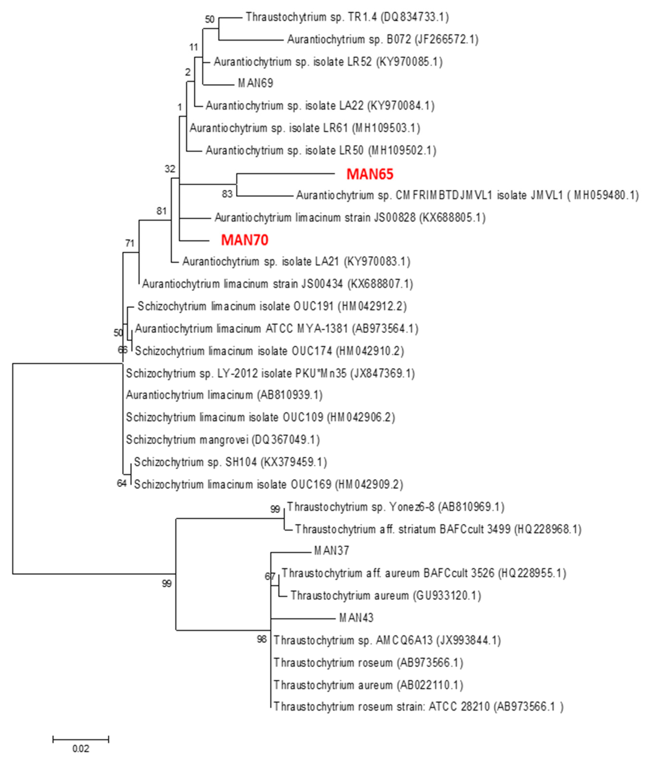 Marinedrugs 18 00151 g001 Marinedrugs 18 00151 g001