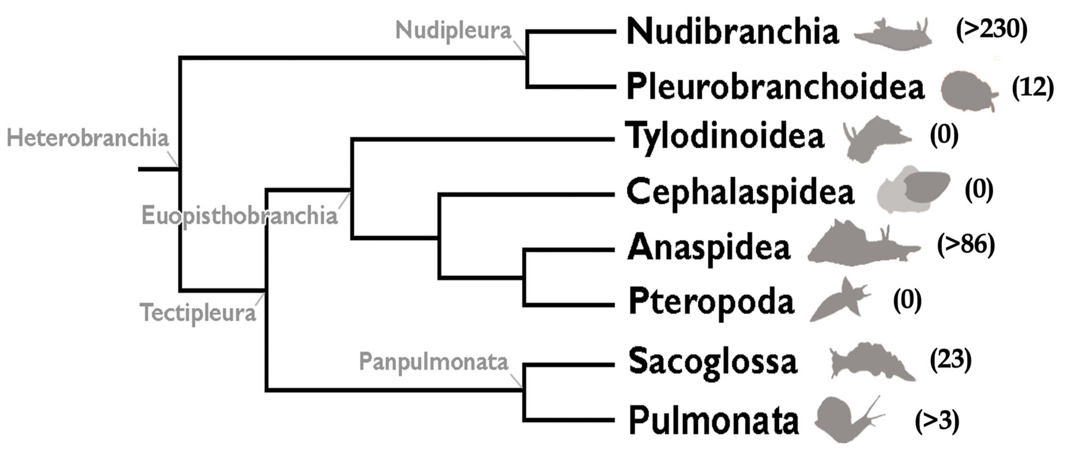 Marinedrugs 18 00162 g001