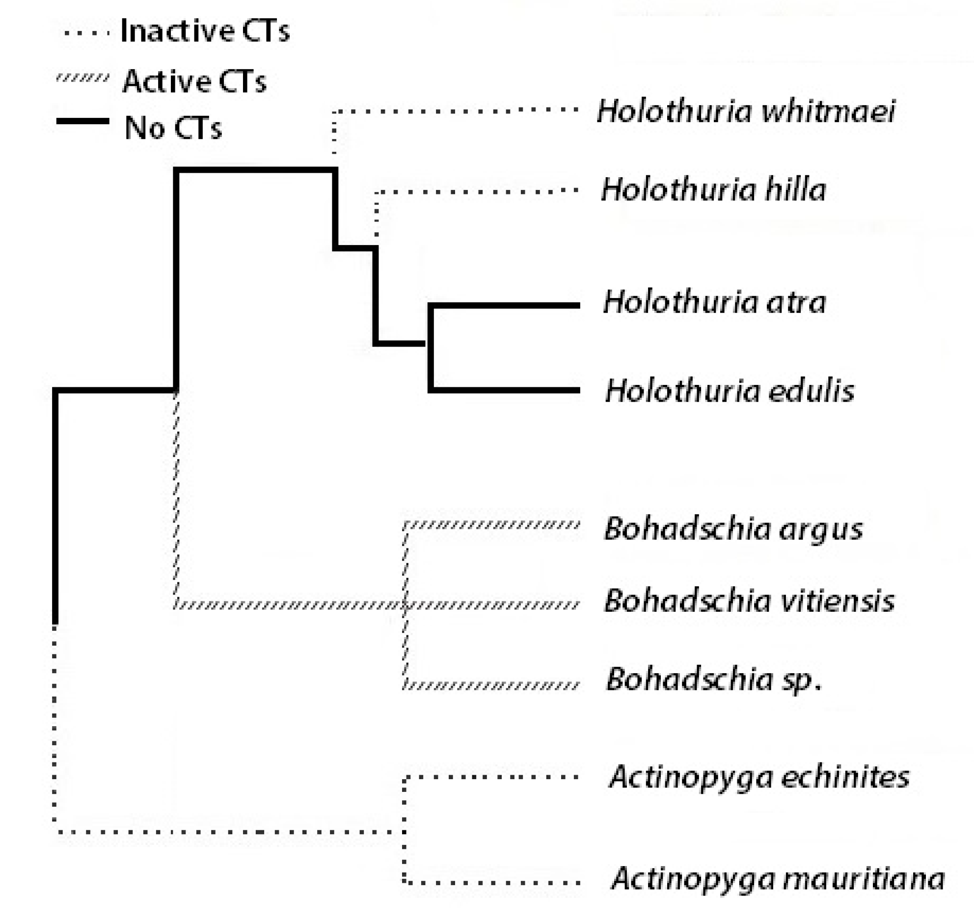 Marinedrugs 18 00181 g002