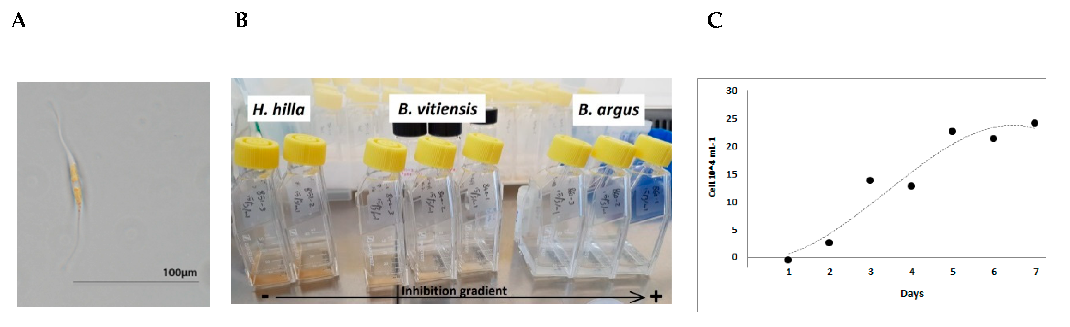 Marinedrugs 18 00181 g008