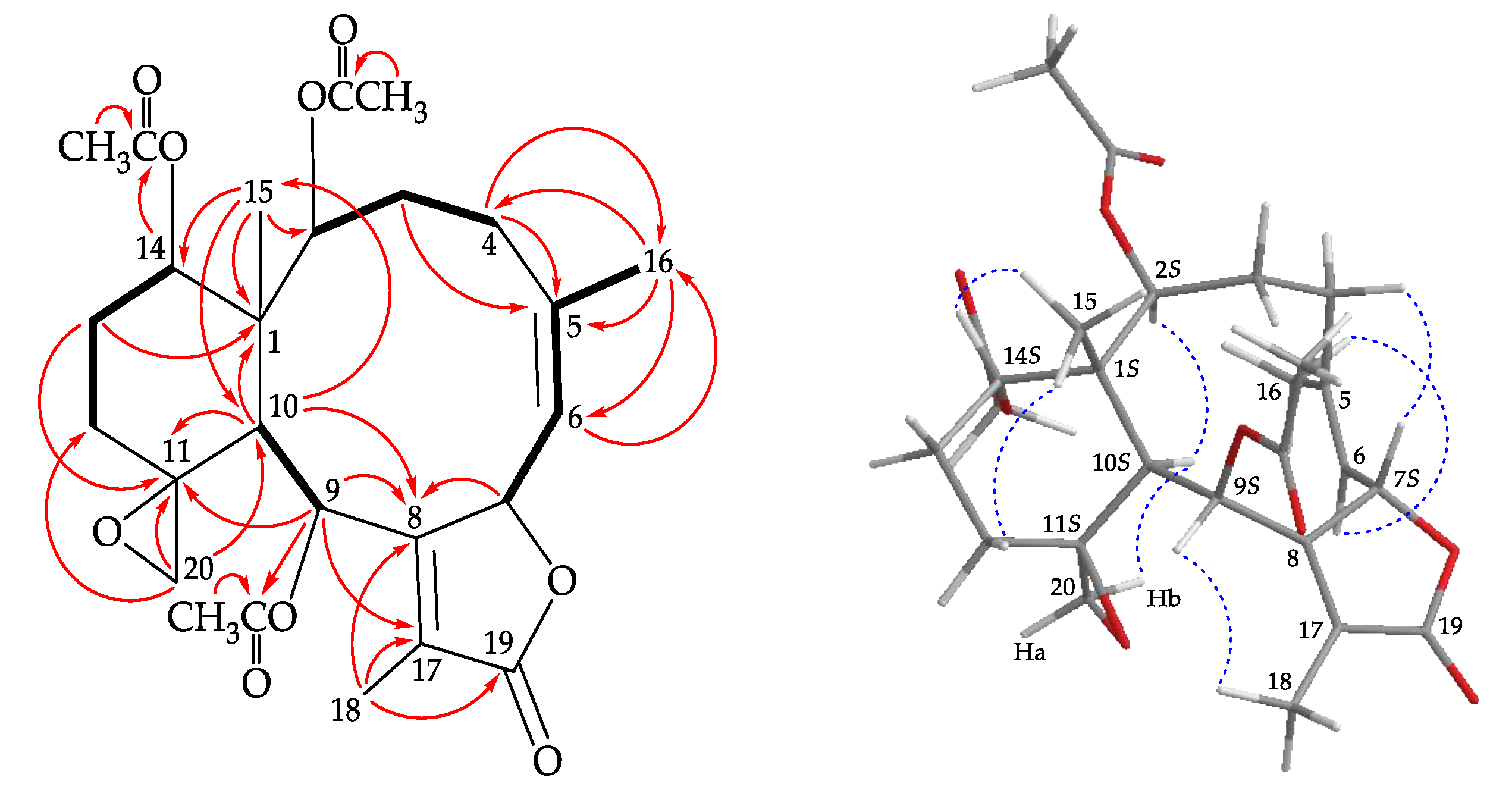 Marinedrugs 18 00183 g003