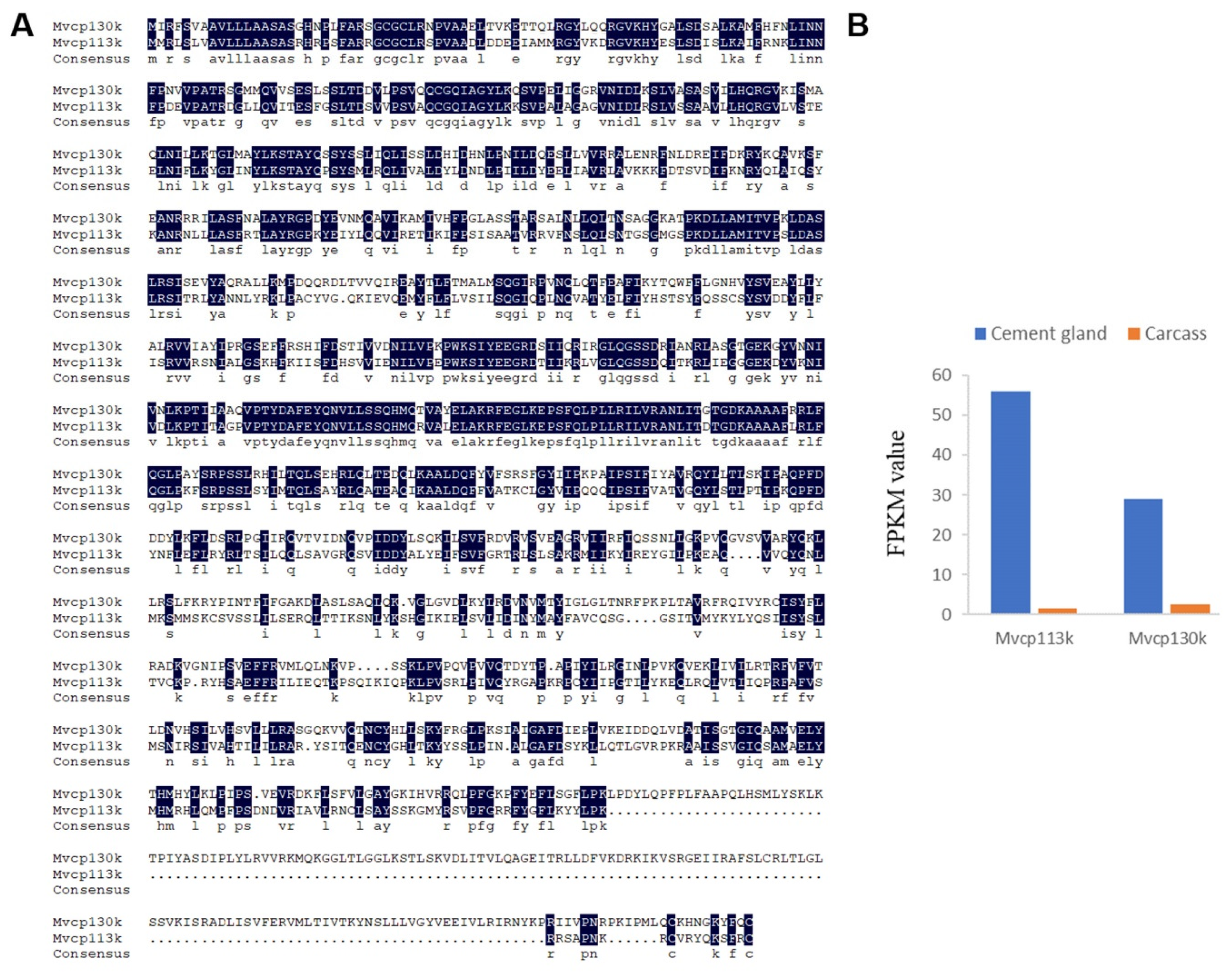Marinedrugs 18 00186 g003