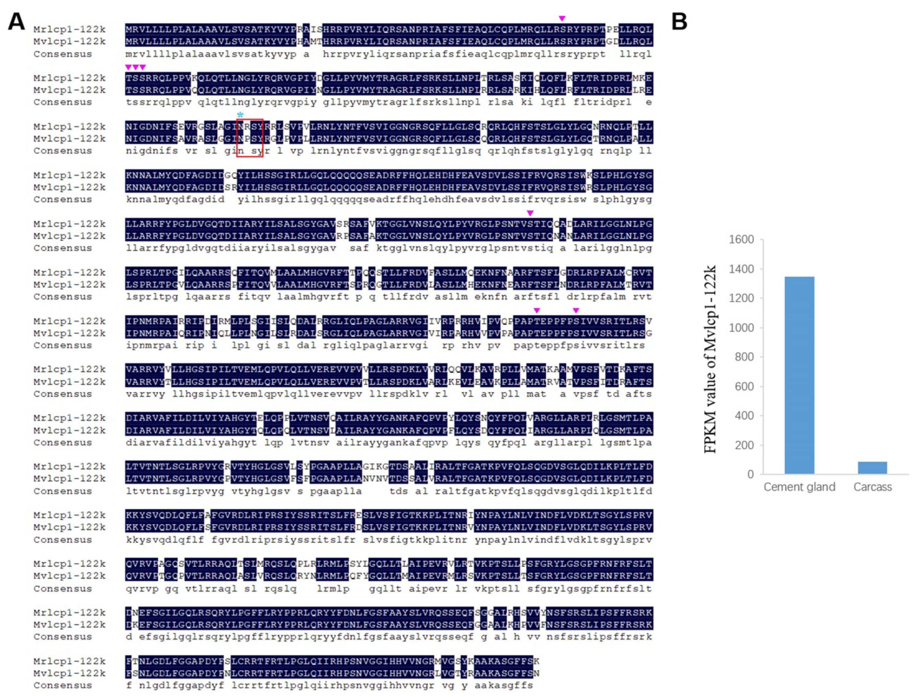 Marinedrugs 18 00186 g005