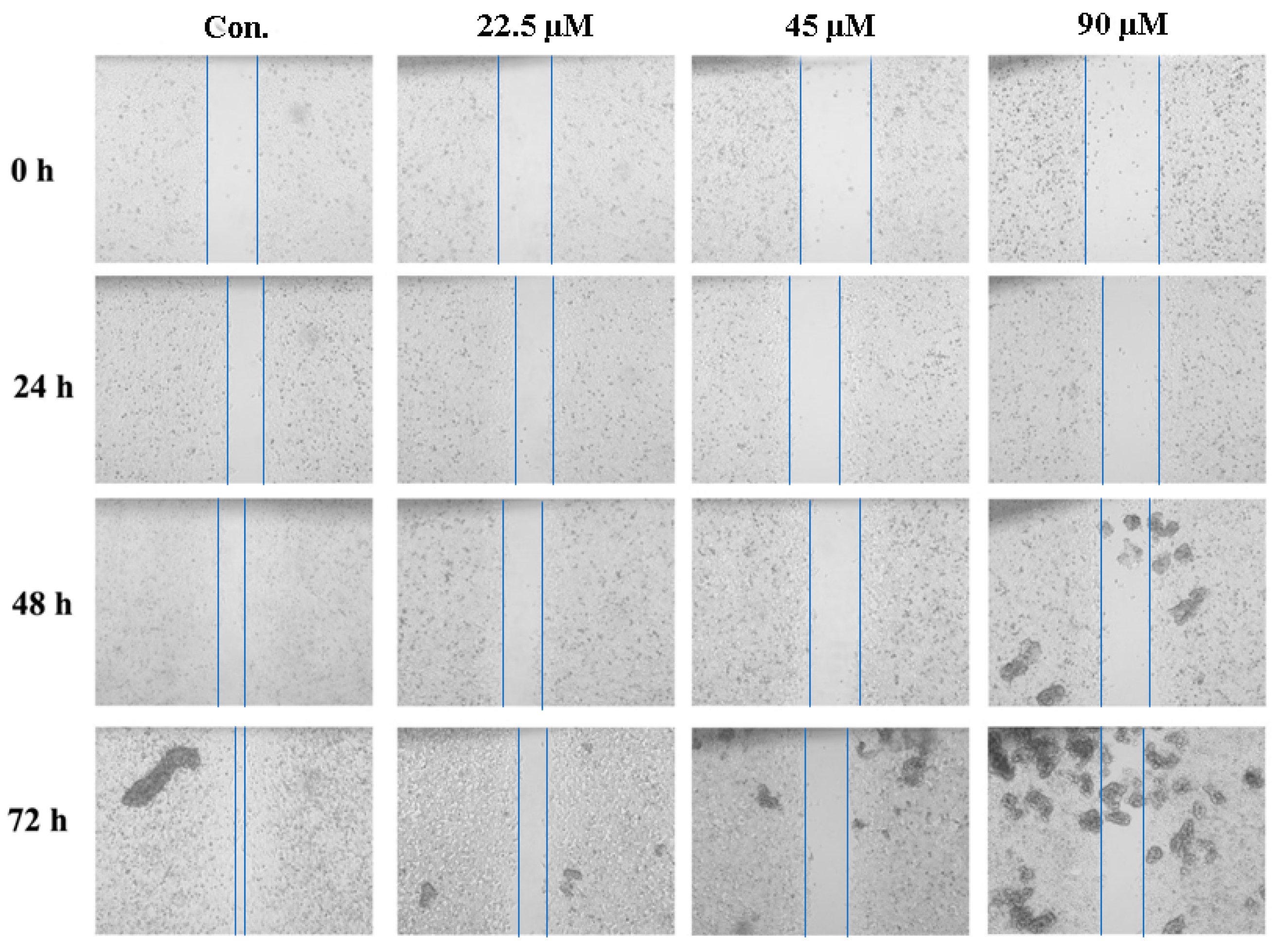 Marinedrugs 18 00195 g005