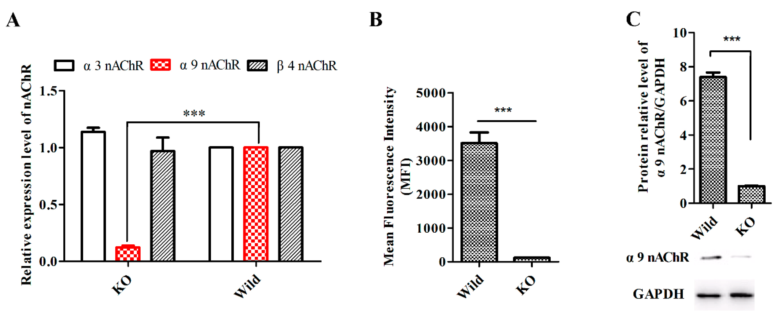 Marinedrugs 18 00195 g006
