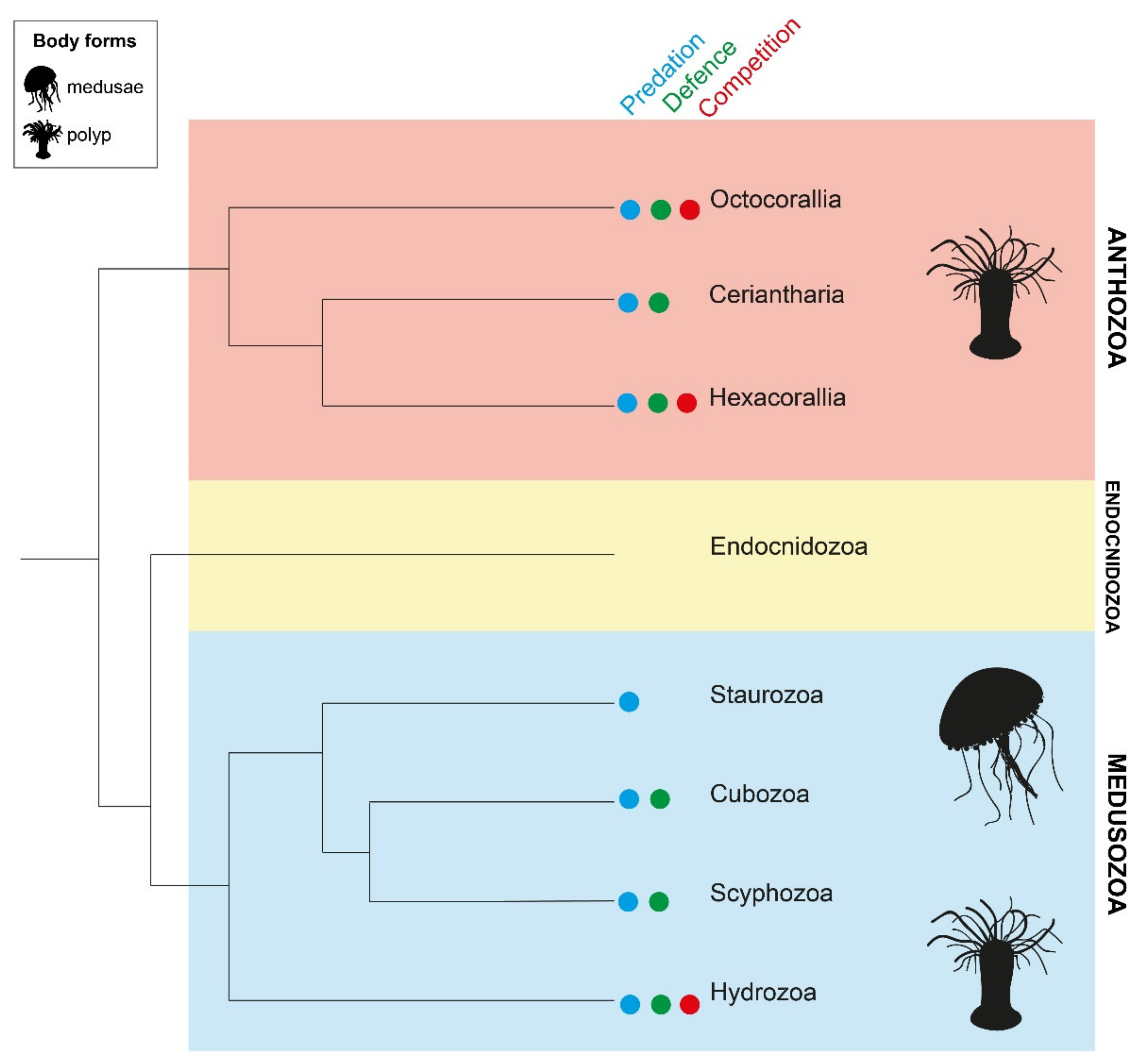 Marinedrugs 18 00202 g001