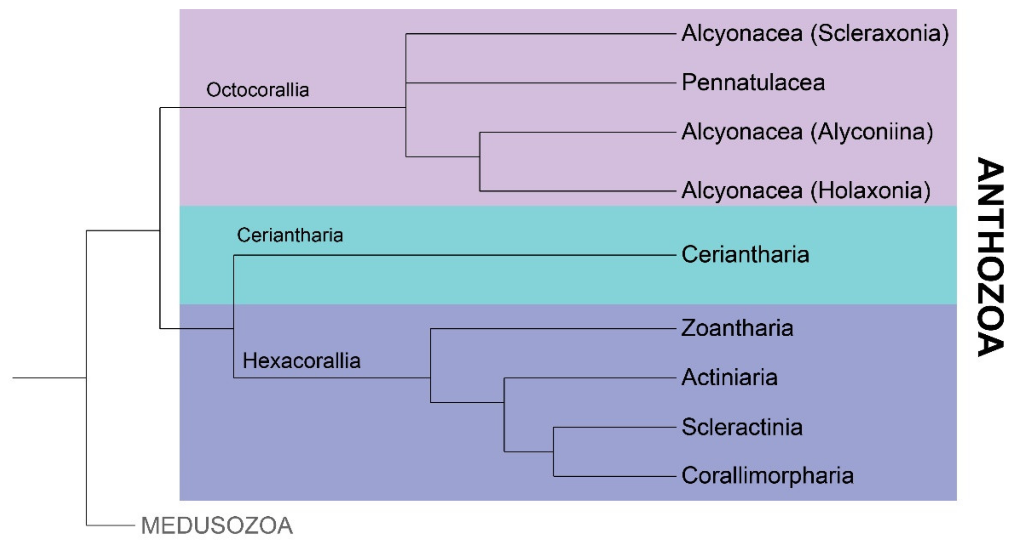 Marinedrugs 18 00202 g002