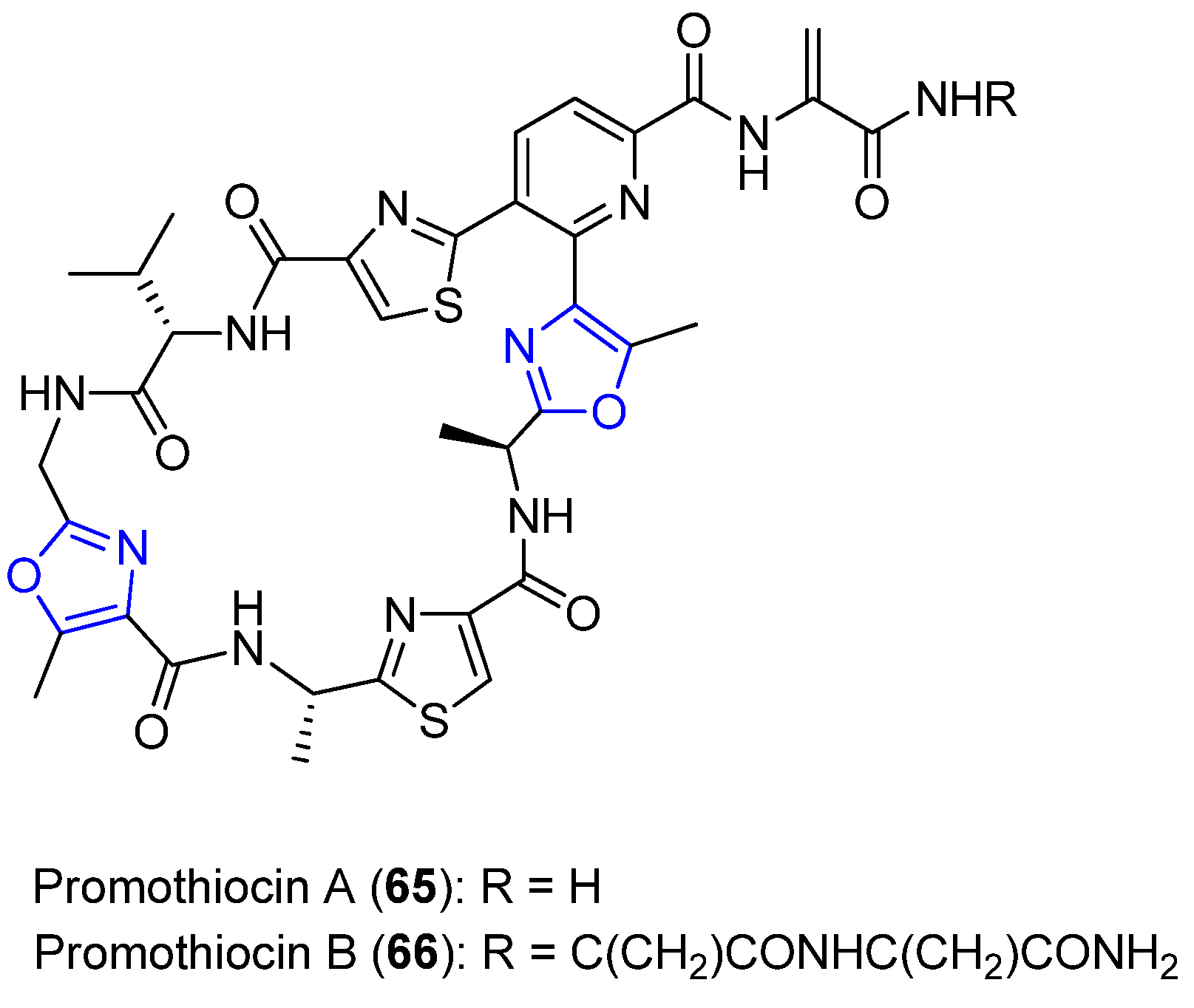 Marinedrugs 18 00203 g026 Marinedrugs 18 00203 g026