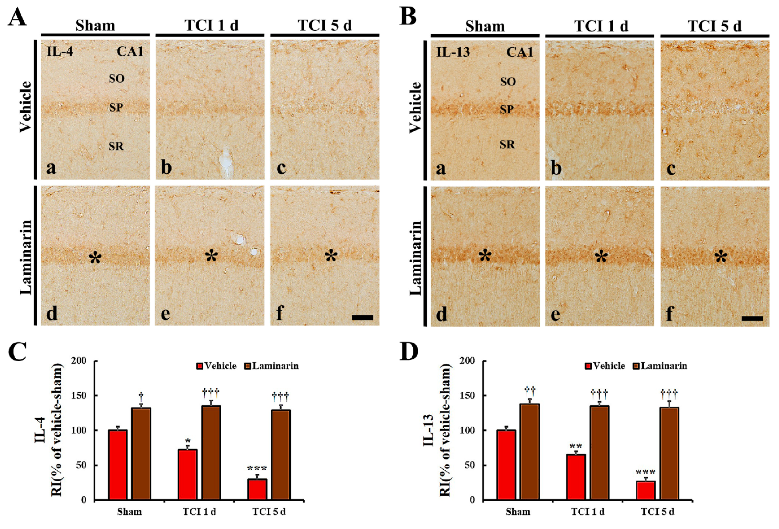 Marinedrugs 18 00213 g005