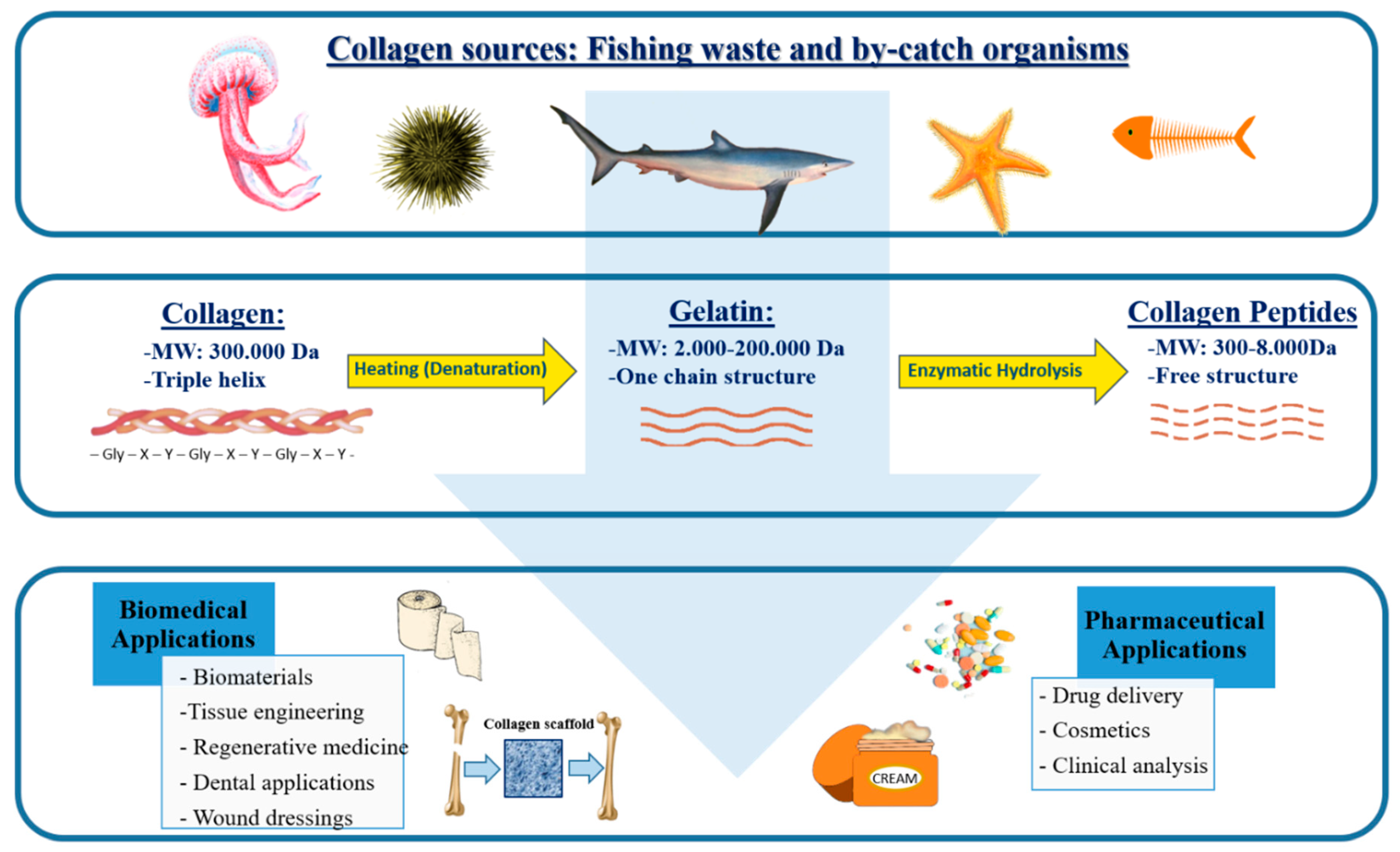 Marinedrugs 18 00214 g001