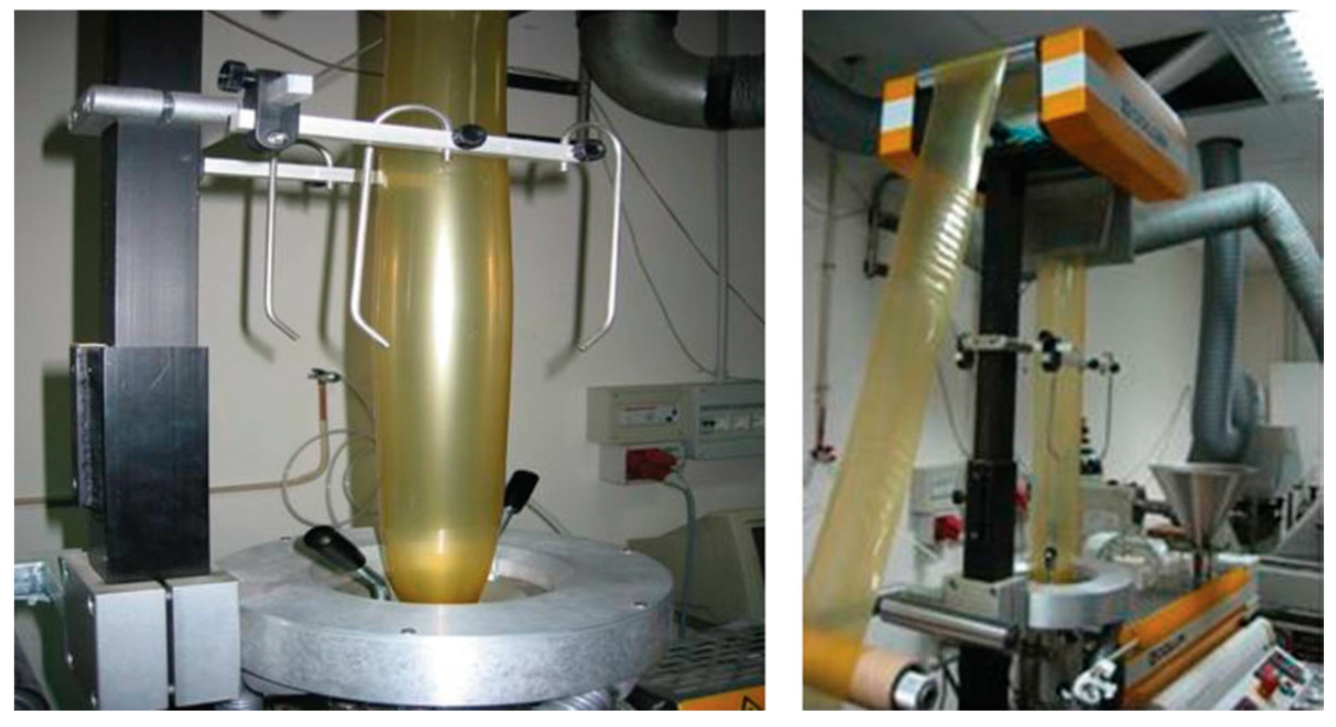 Marinedrugs 18 00214 g002