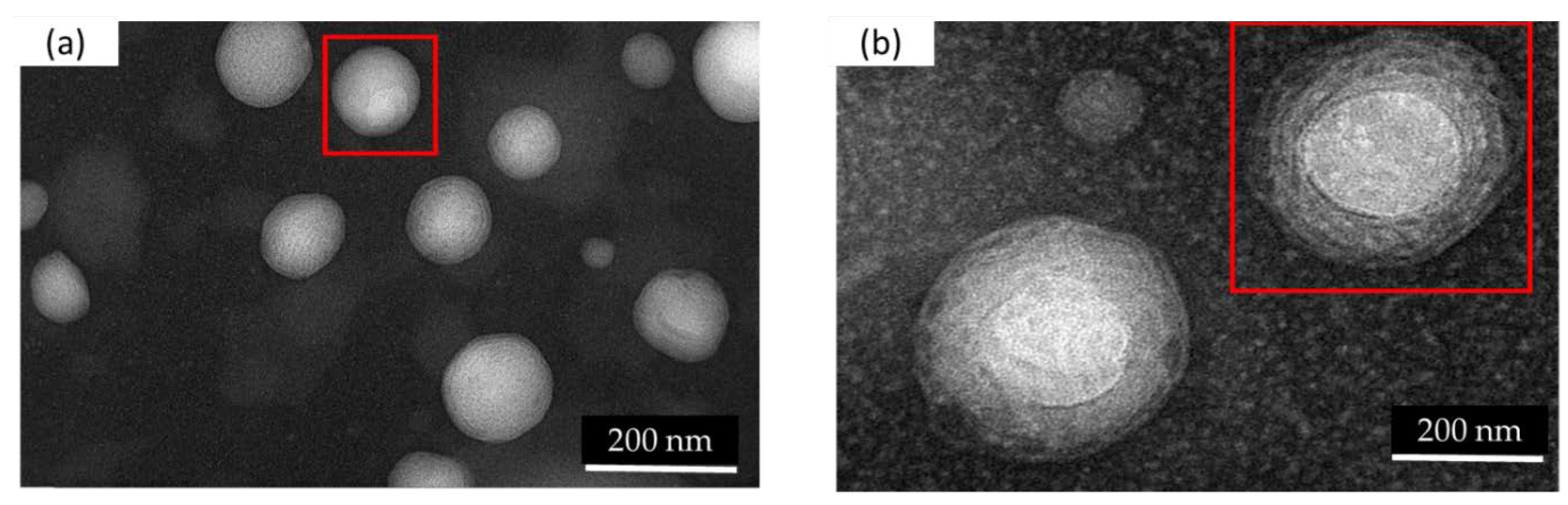 Marinedrugs 18 00217 g002