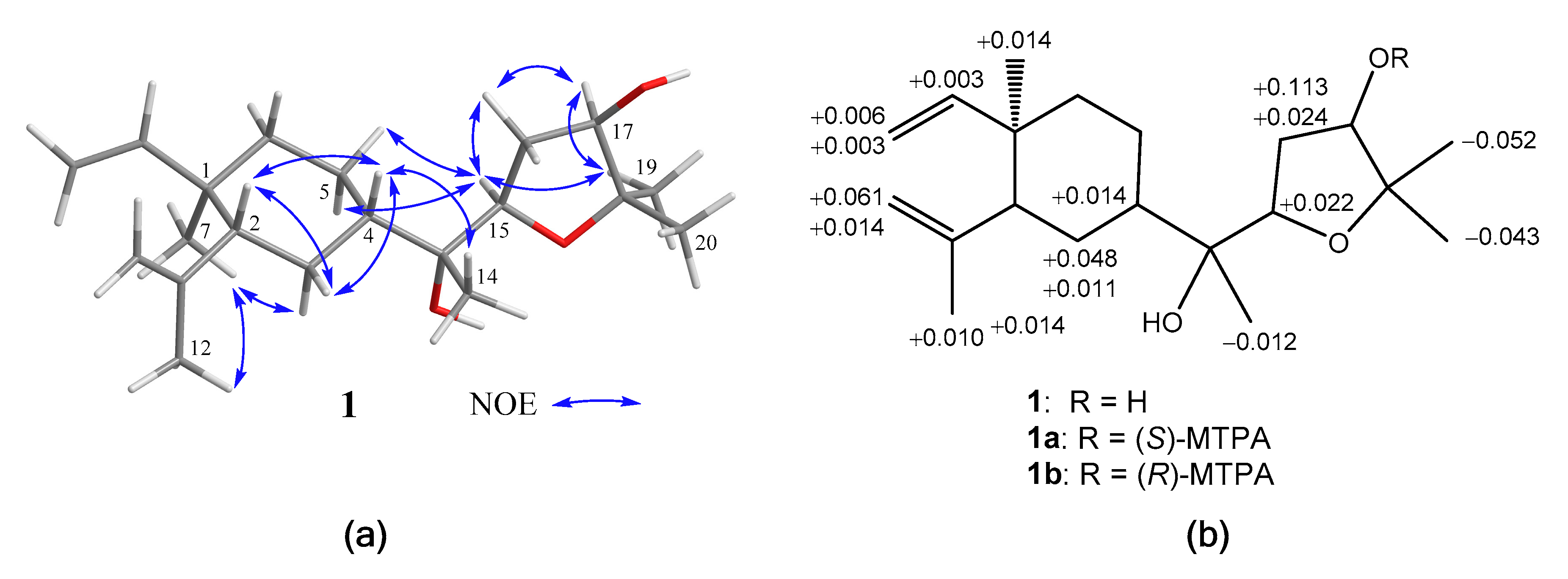 Marinedrugs 18 00223 g003 Marinedrugs 18 00223 g003