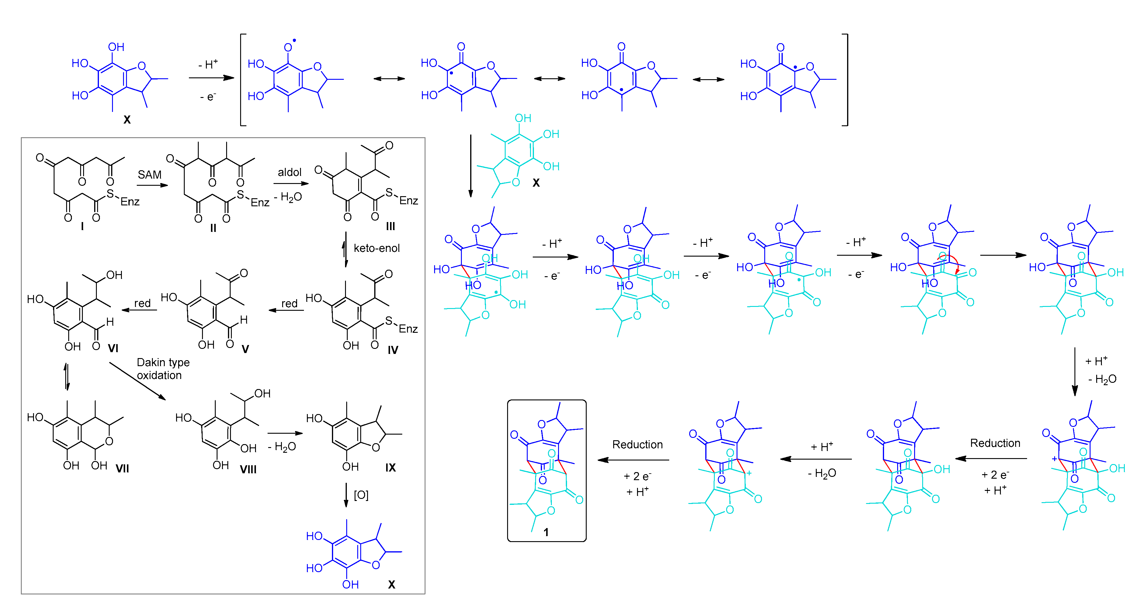Marinedrugs 18 00227 g004 Marinedrugs 18 00227 g004