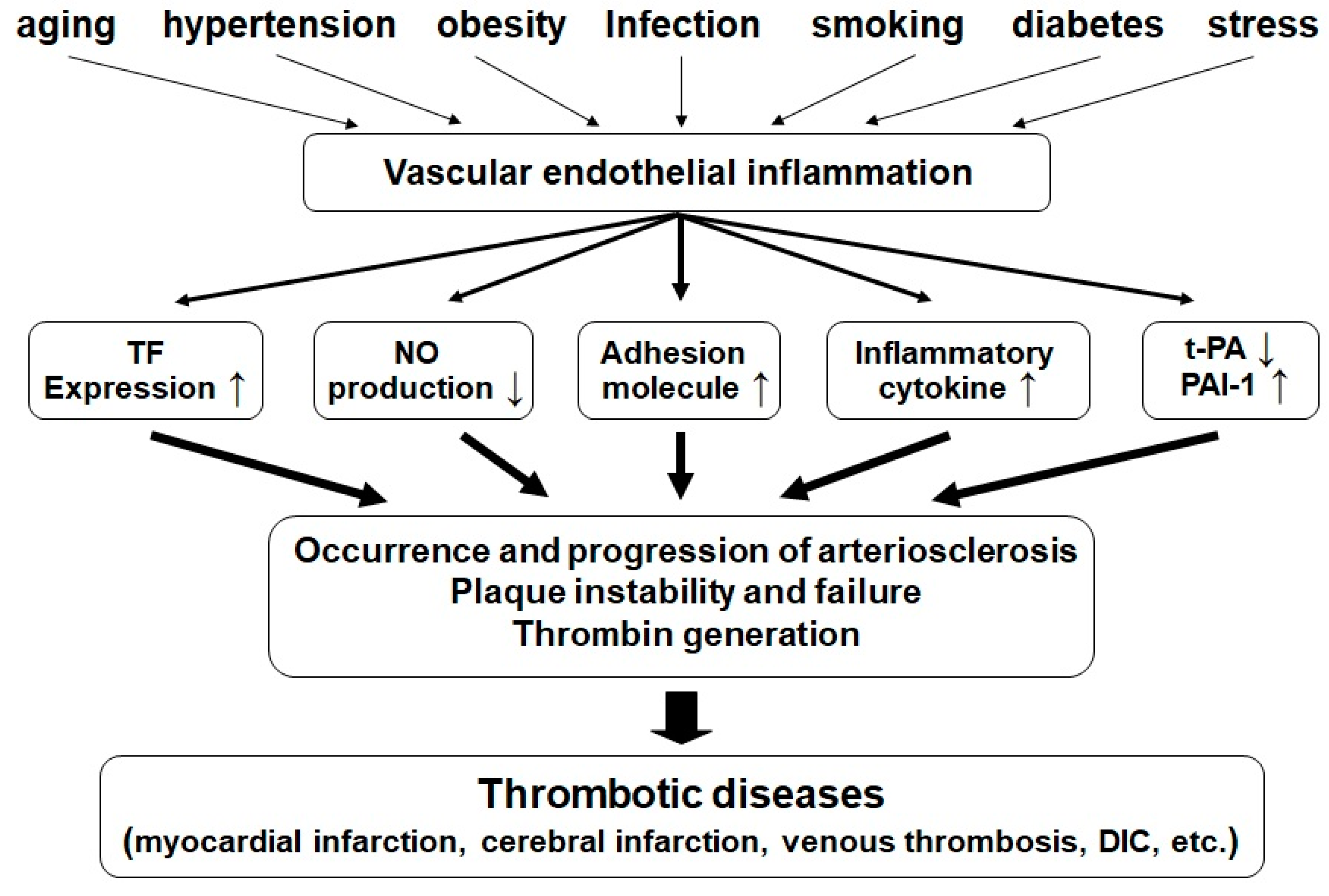 Marinedrugs 18 00228 g005