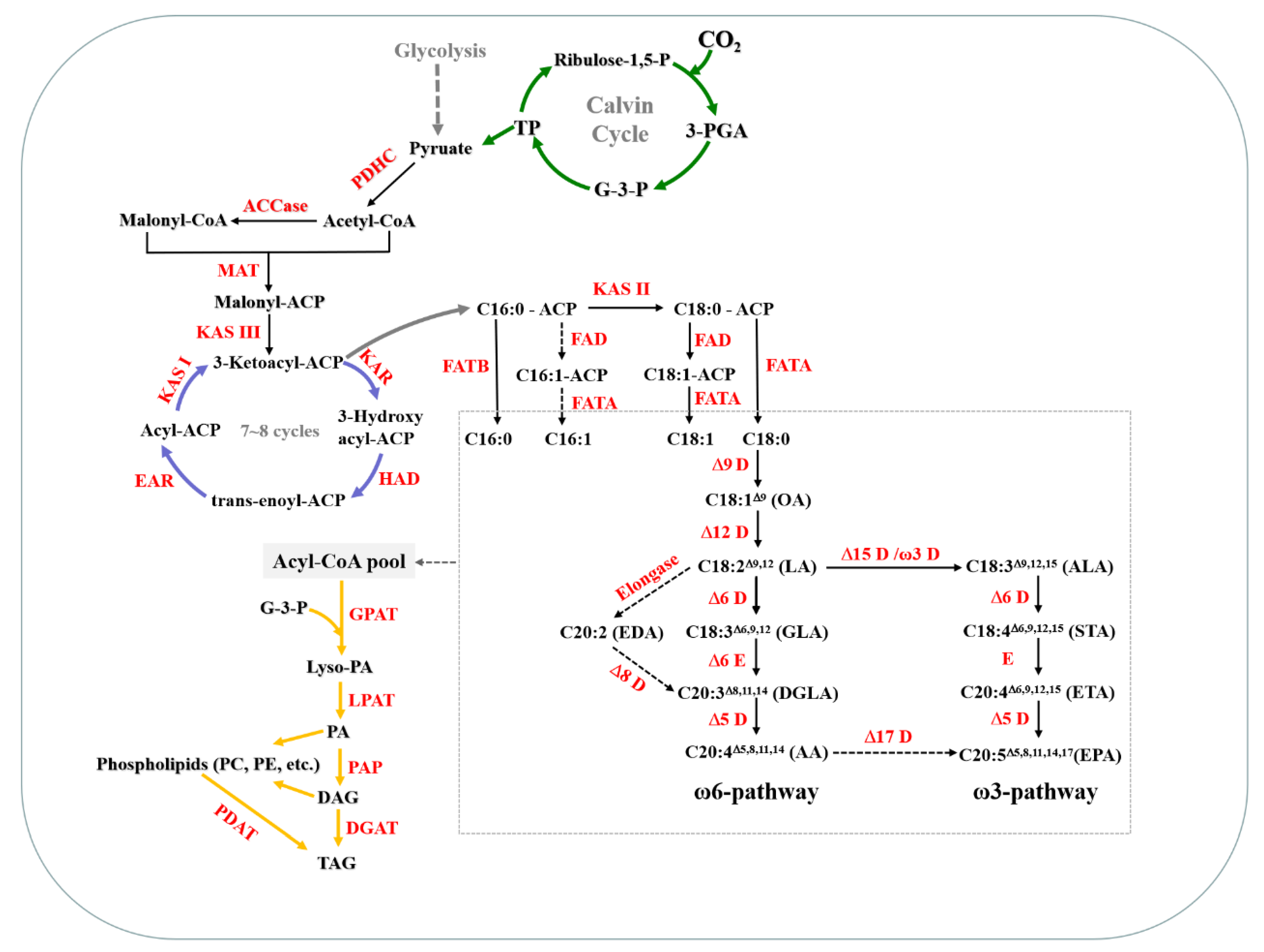 Marinedrugs 18 00229 g007