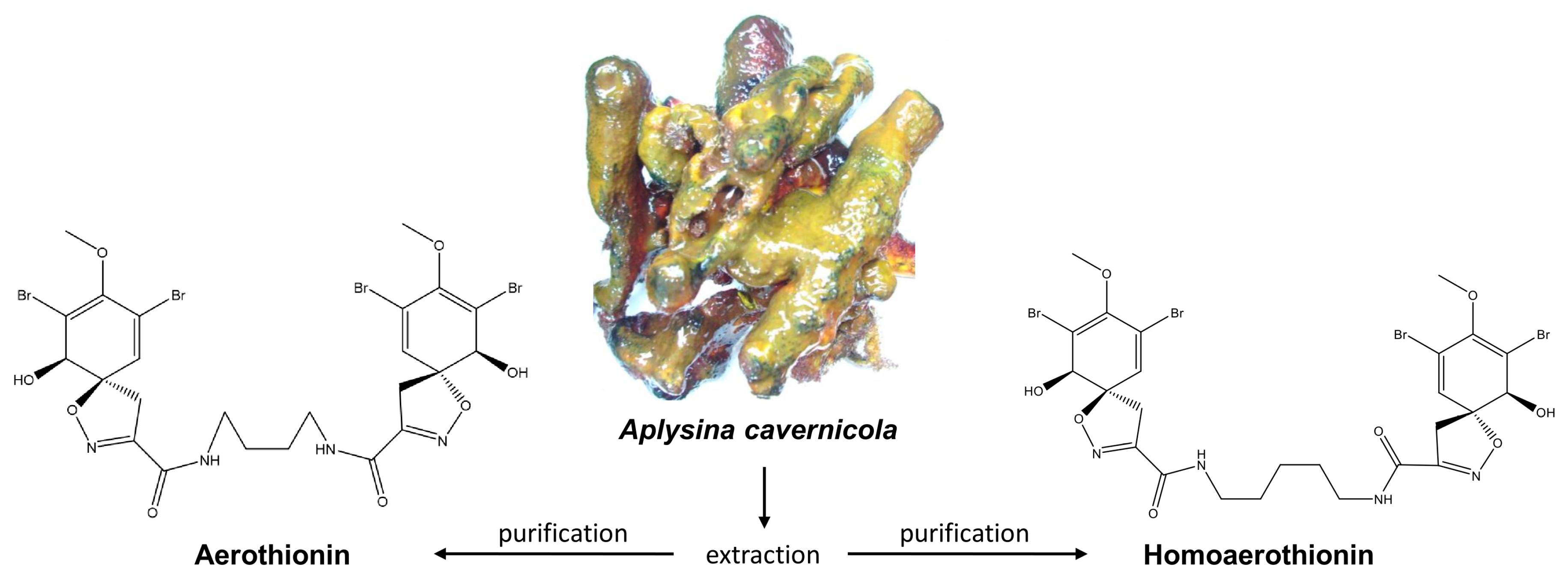 Marinedrugs 18 00236 g001