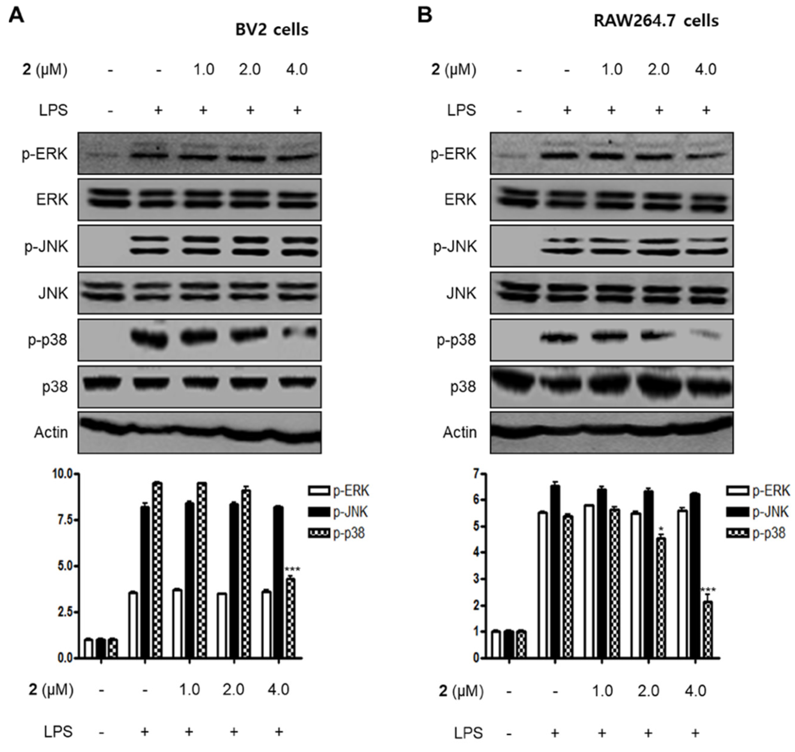 Marinedrugs 18 00247 g005
