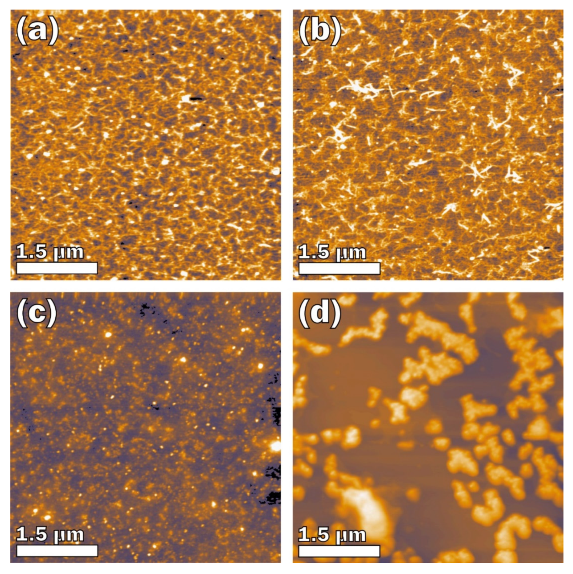 Marinedrugs 18 00248 g001 Marinedrugs 18 00248 g001