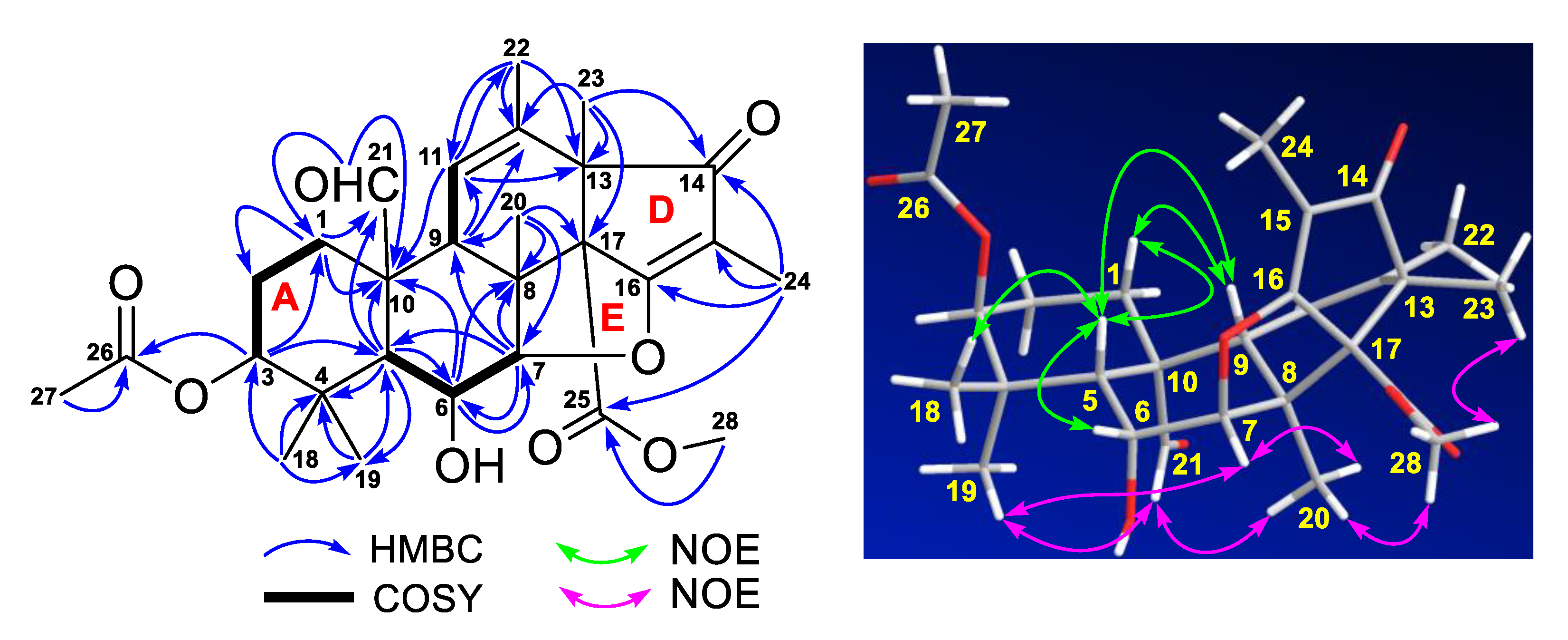 Marinedrugs 18 00258 g003