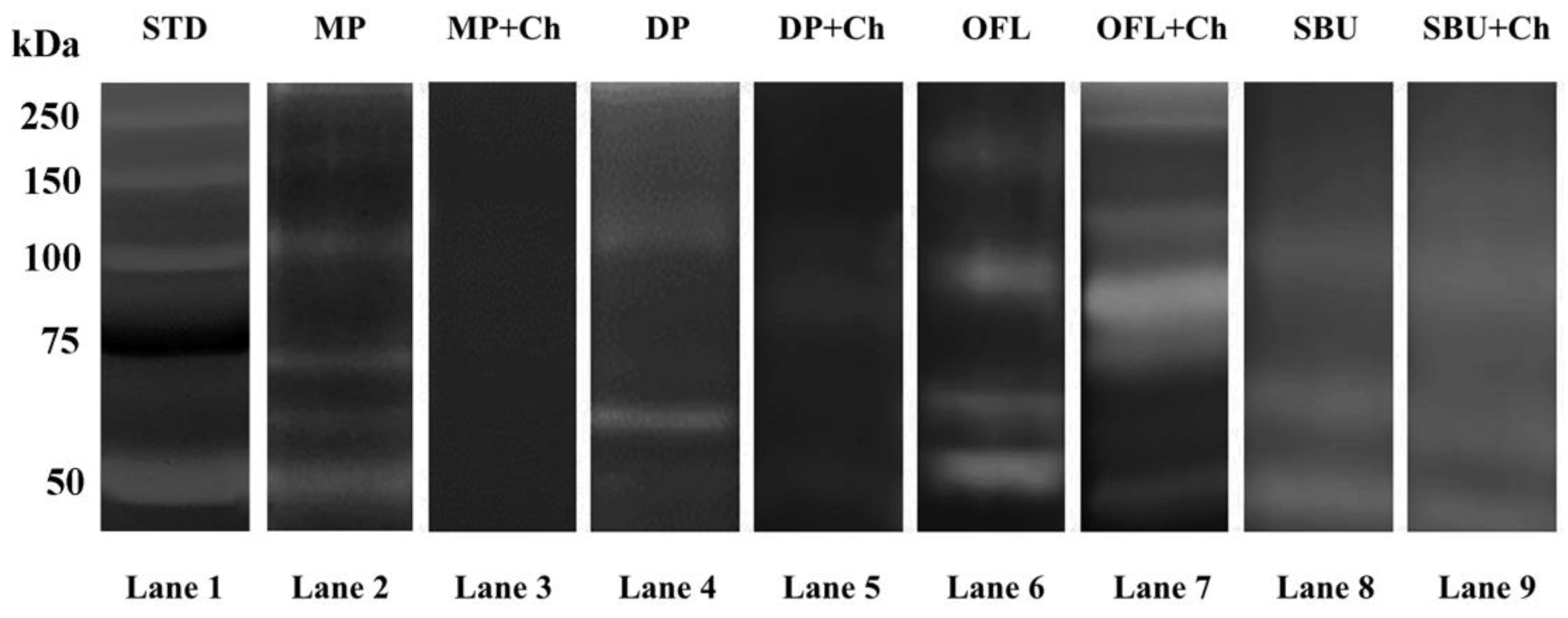 Marinedrugs 18 00263 g003