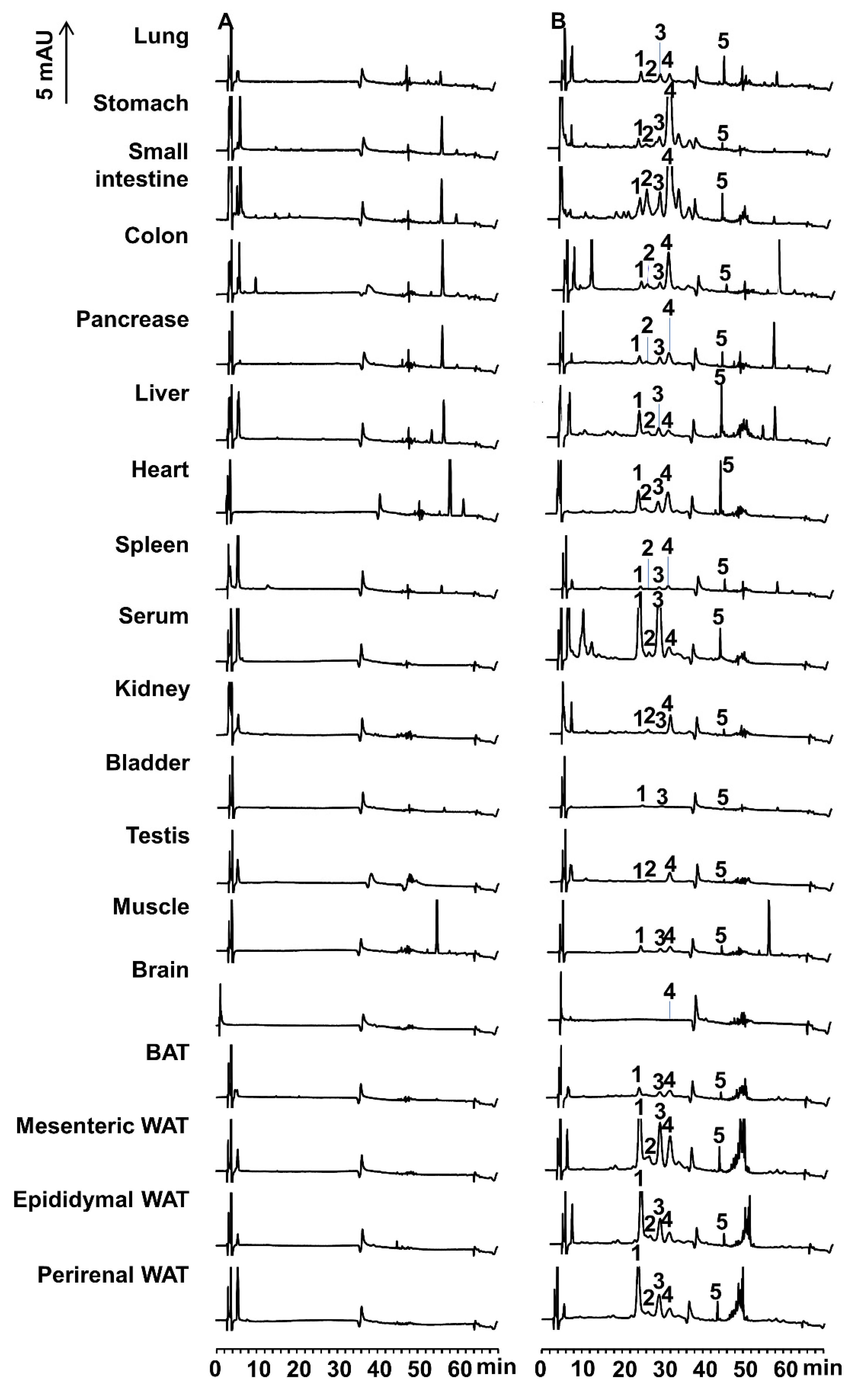 Marinedrugs 18 00291 g004