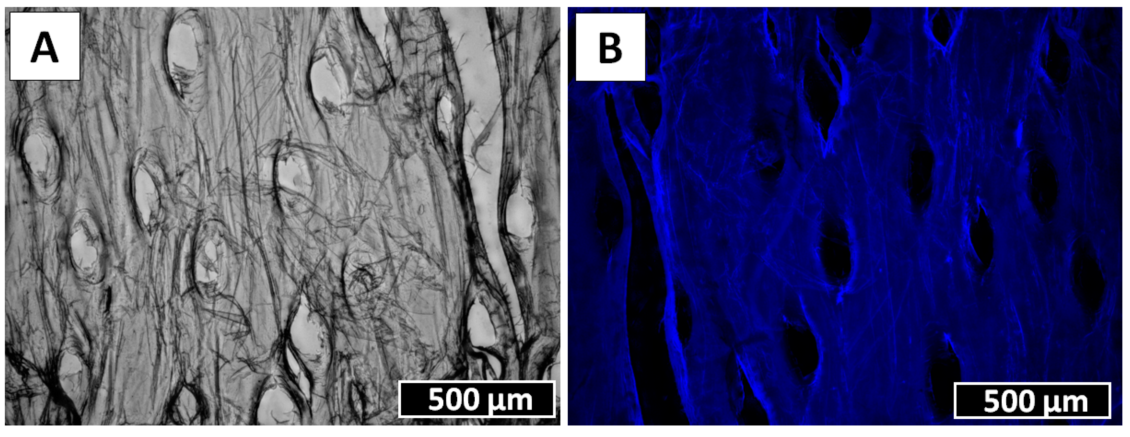 Marinedrugs 18 00297 g007