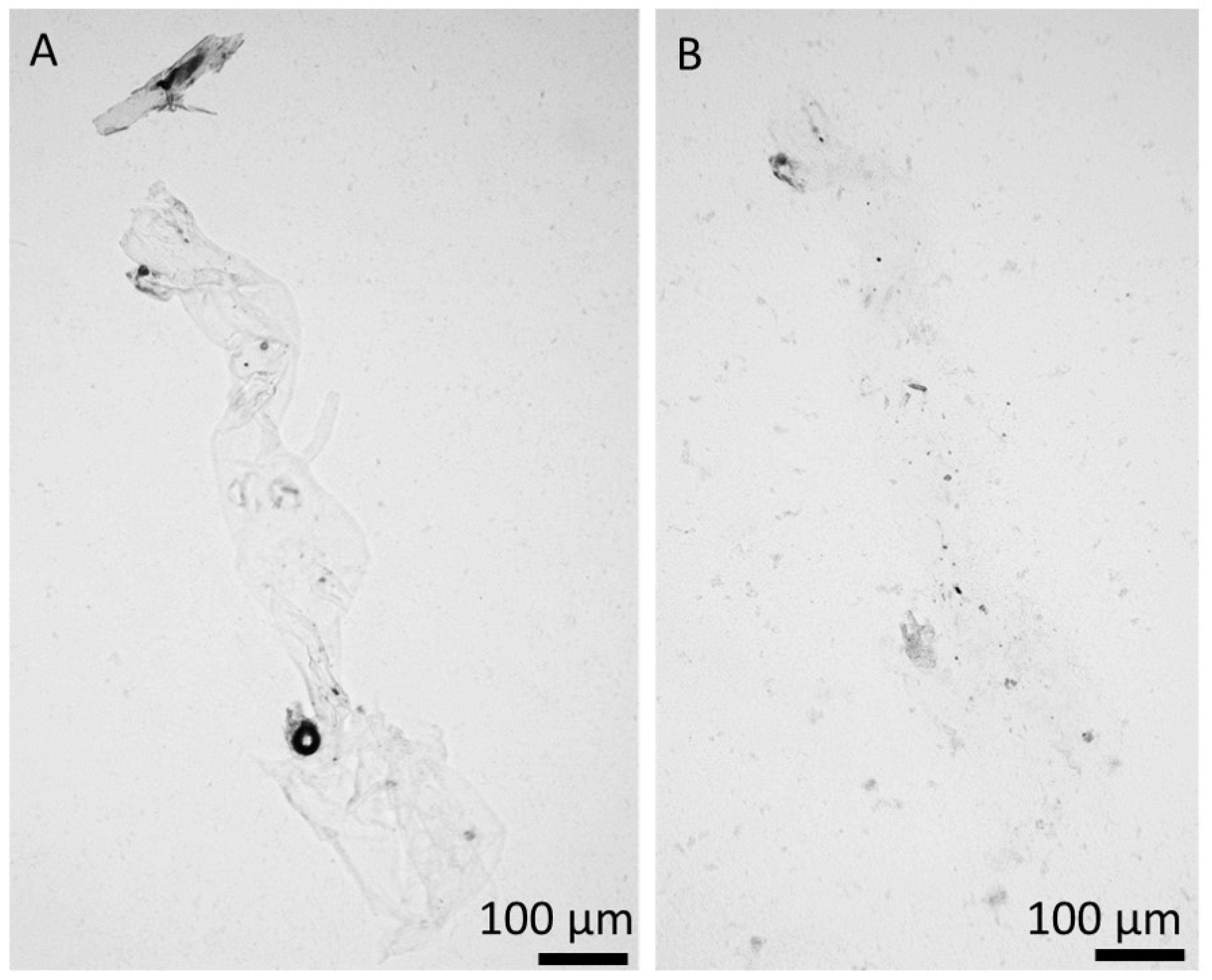 Marinedrugs 18 00297 g009