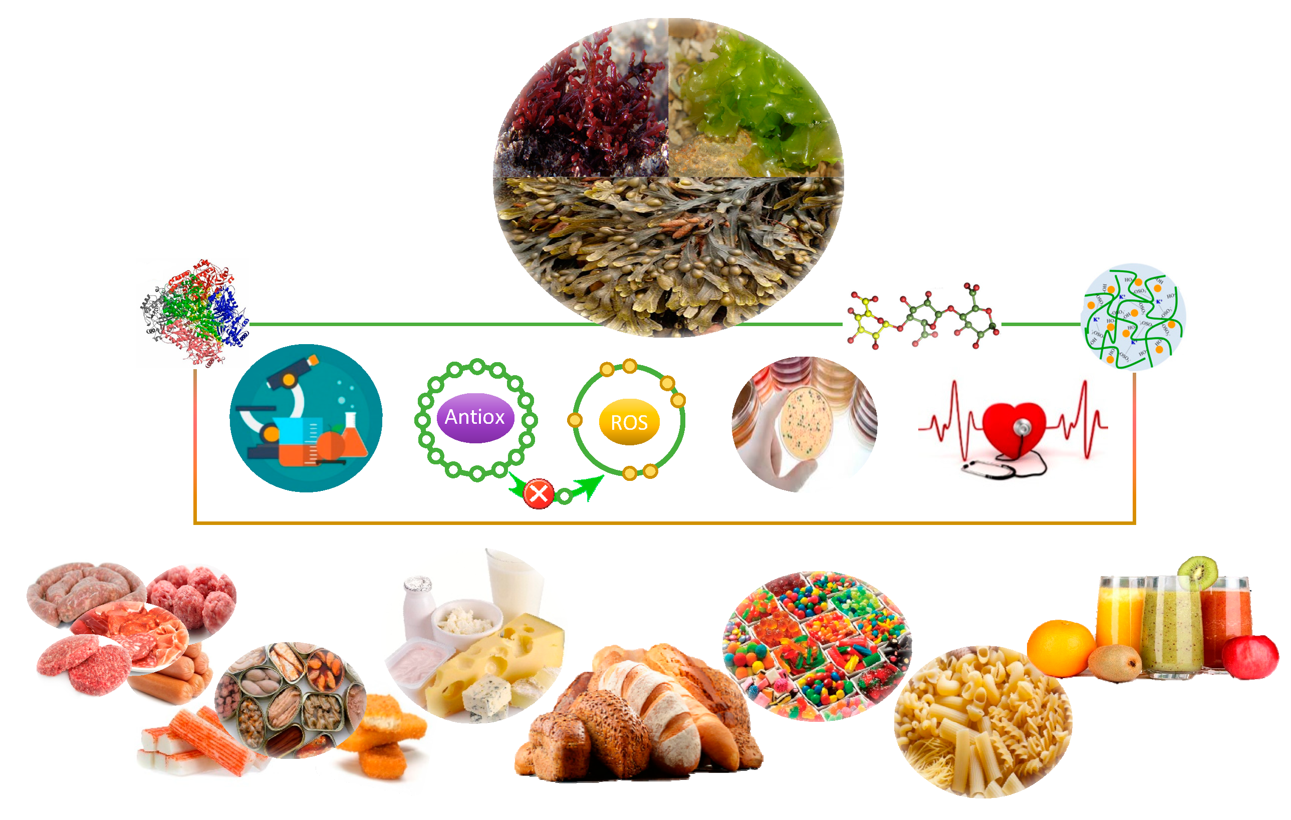 Marinedrugs 18 00301 g002