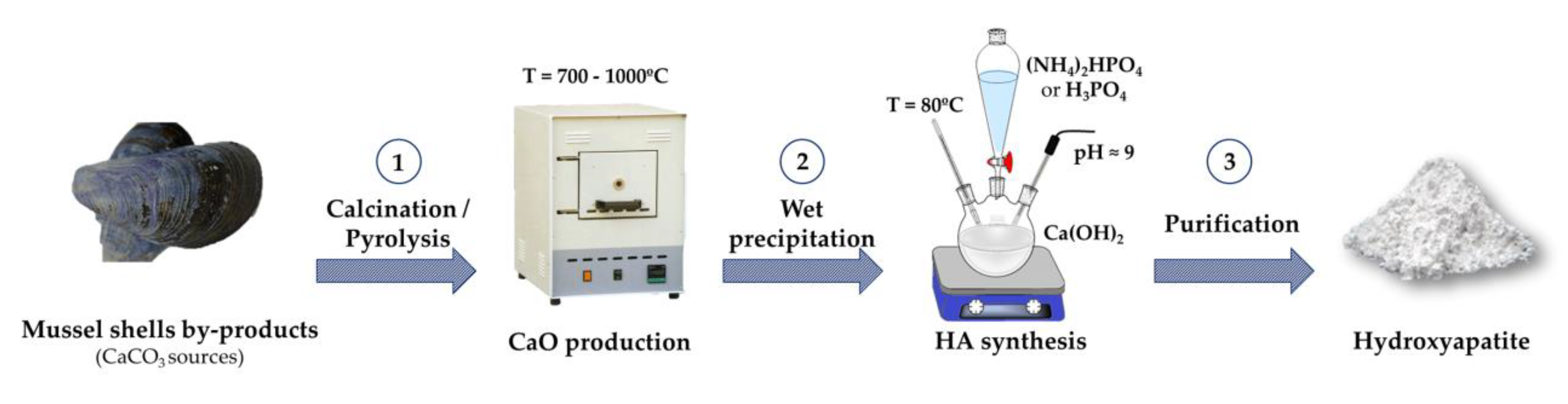 Marinedrugs 18 00309 g001