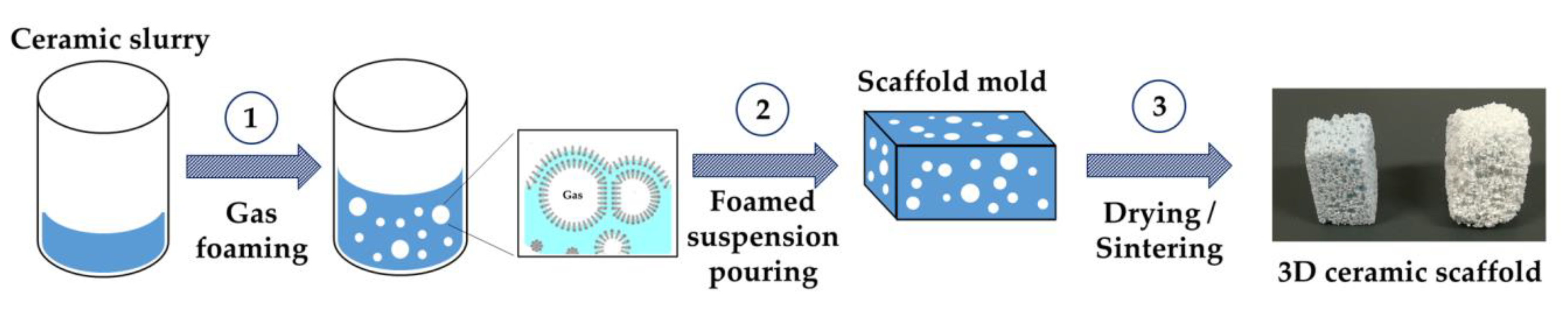 Marinedrugs 18 00309 g002