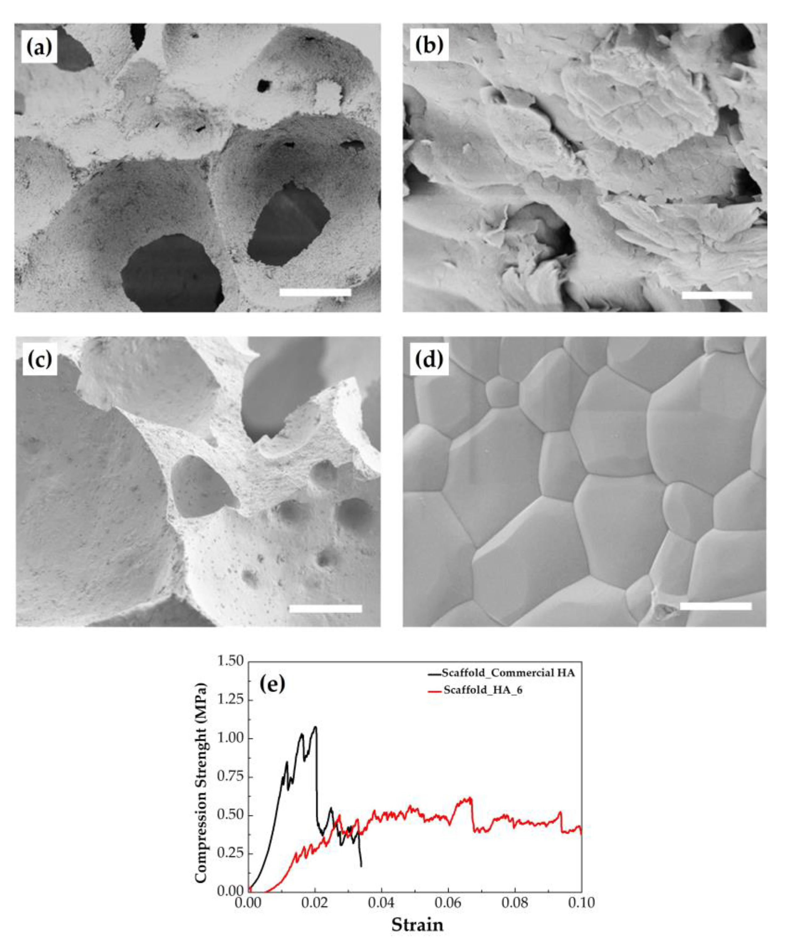 Marinedrugs 18 00309 g005