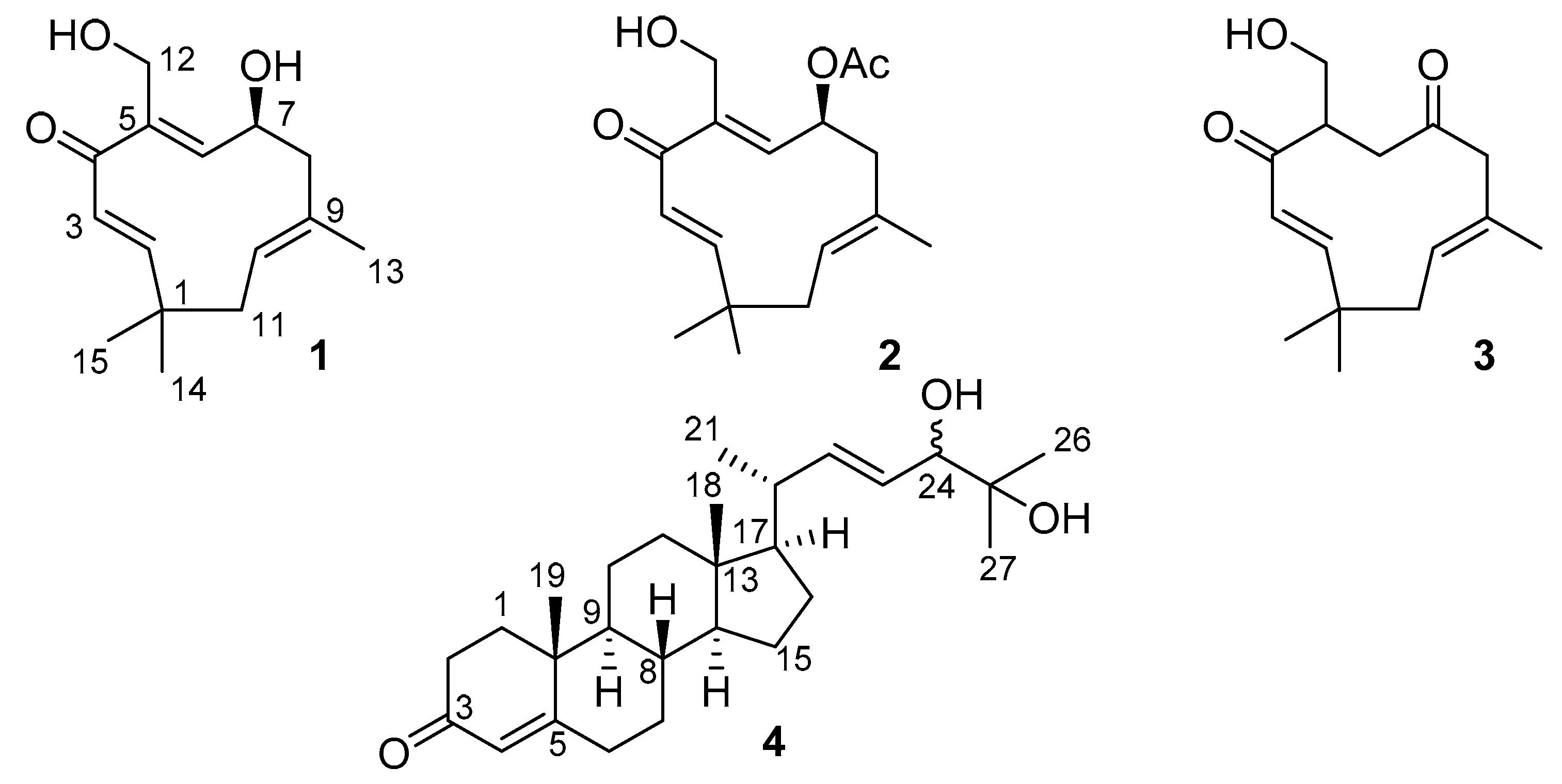 Marinedrugs 18 00310 g001