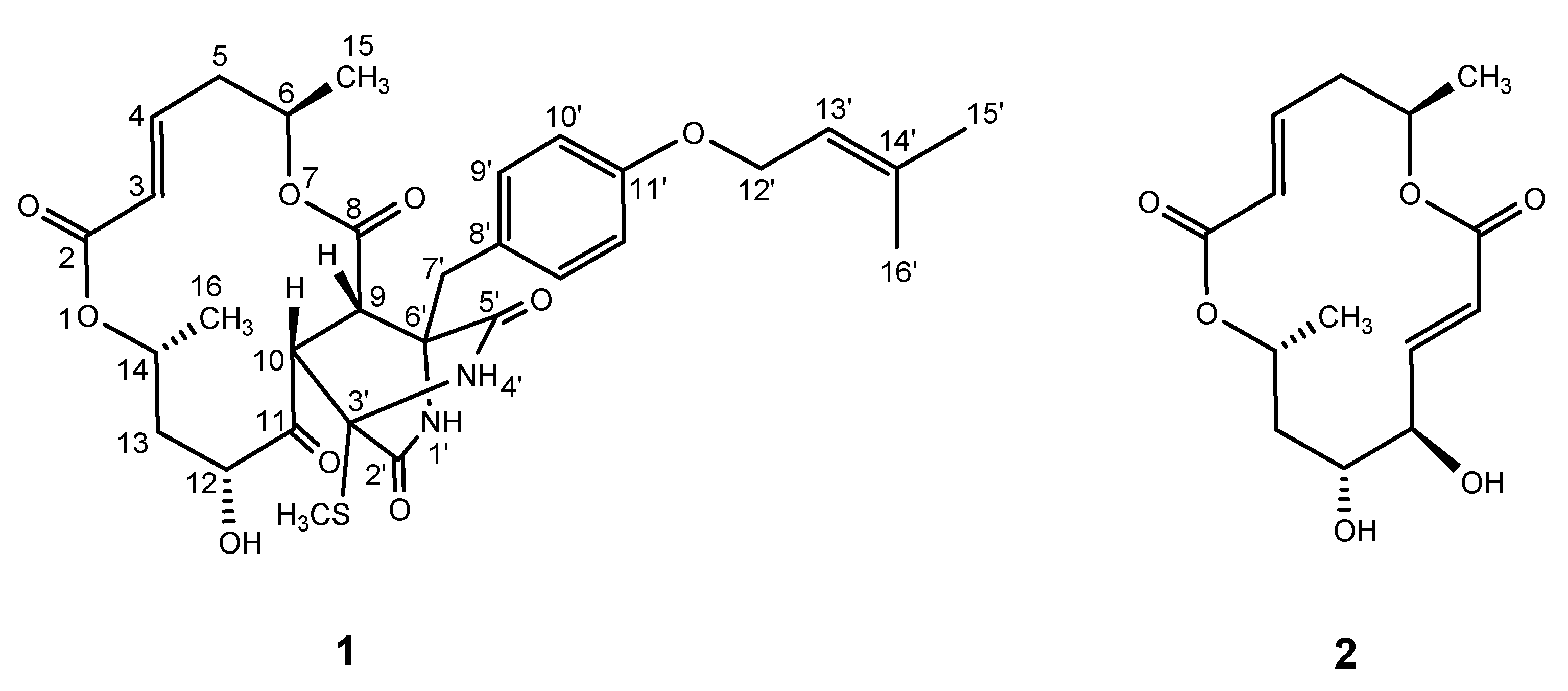 Marinedrugs 18 00320 g001