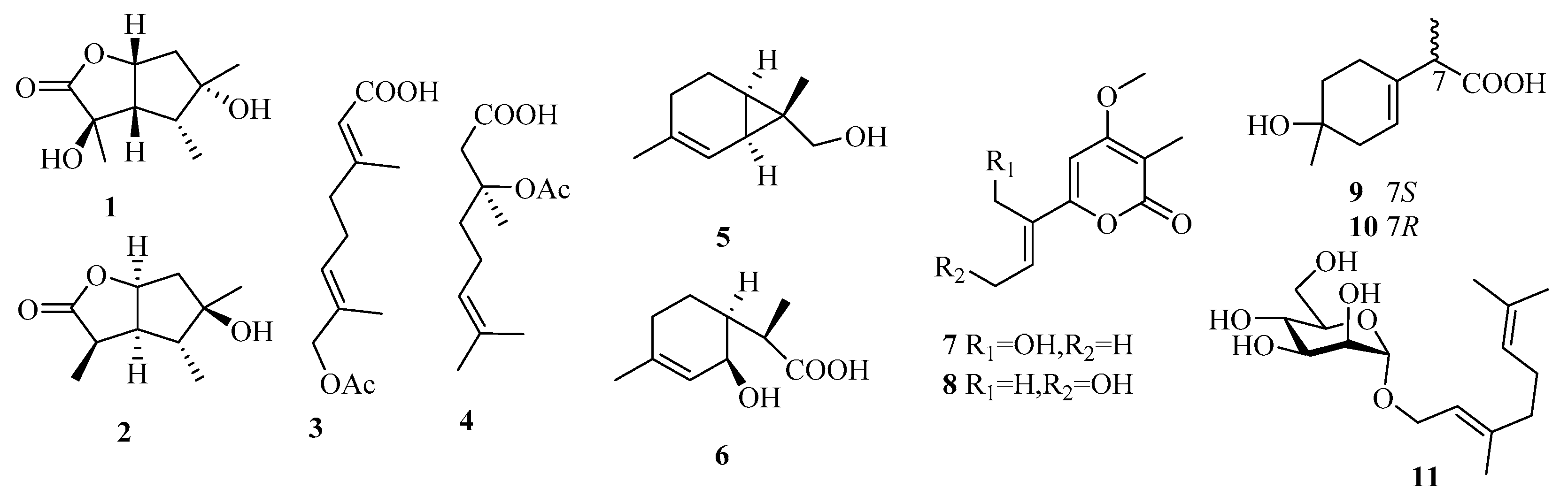 Marinedrugs 18 00321 g006