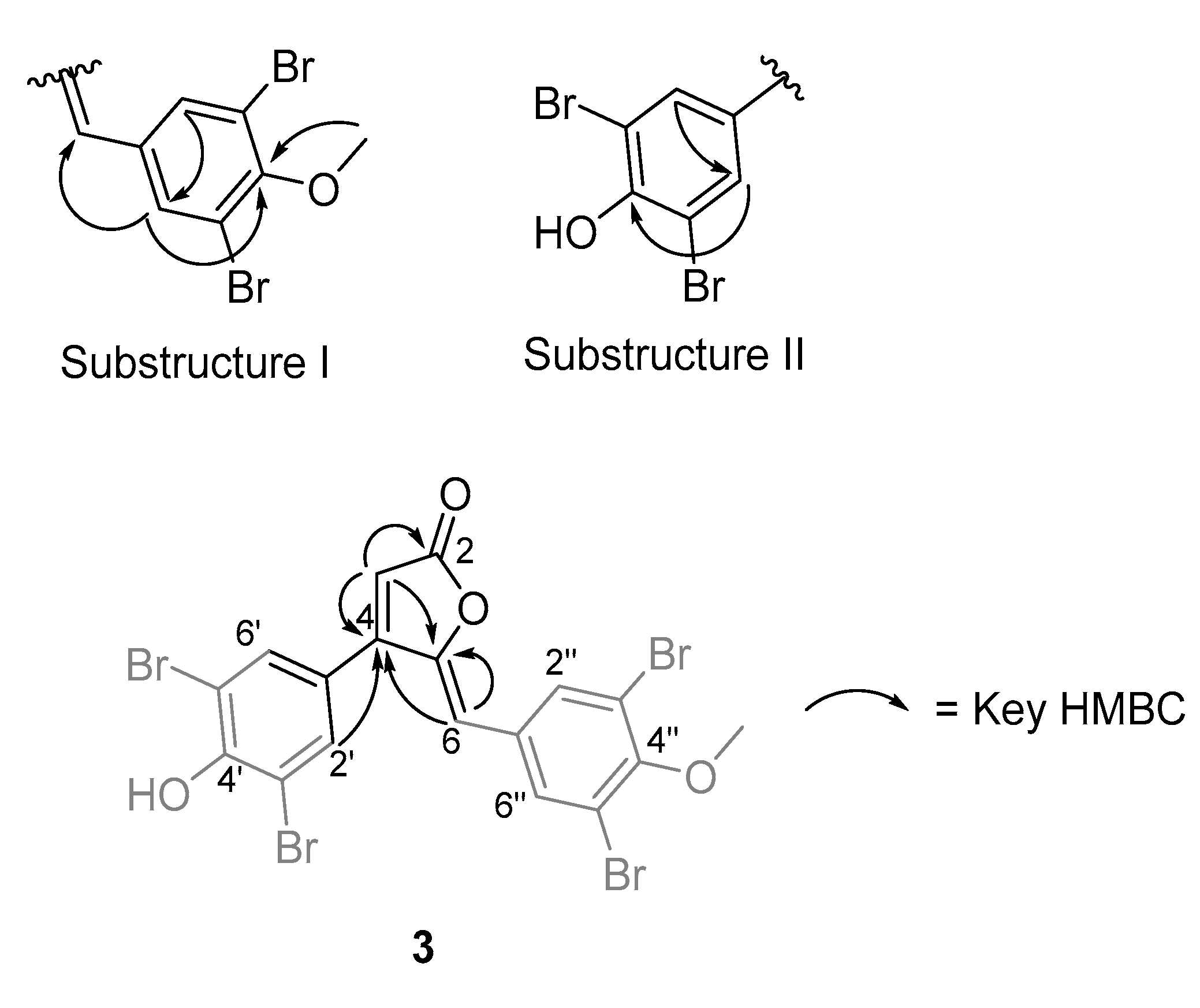 Marinedrugs 18 00337 g003