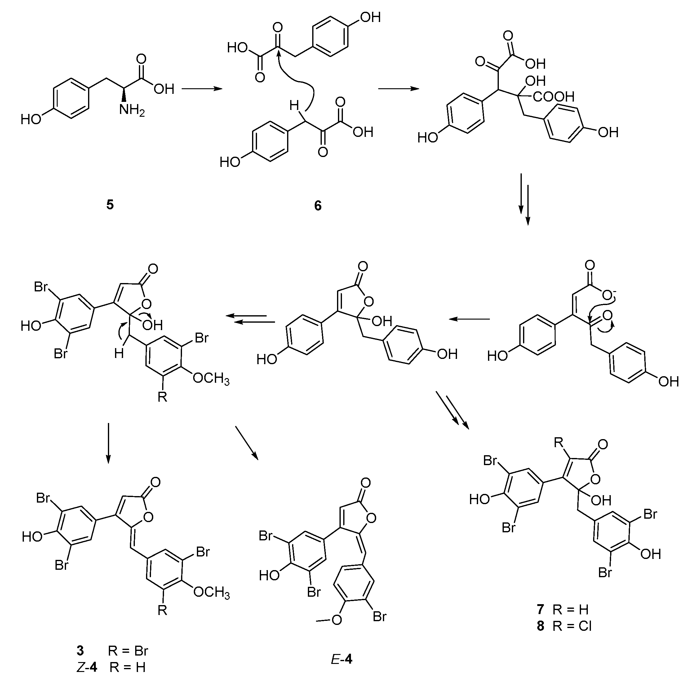 Marinedrugs 18 00337 sch002