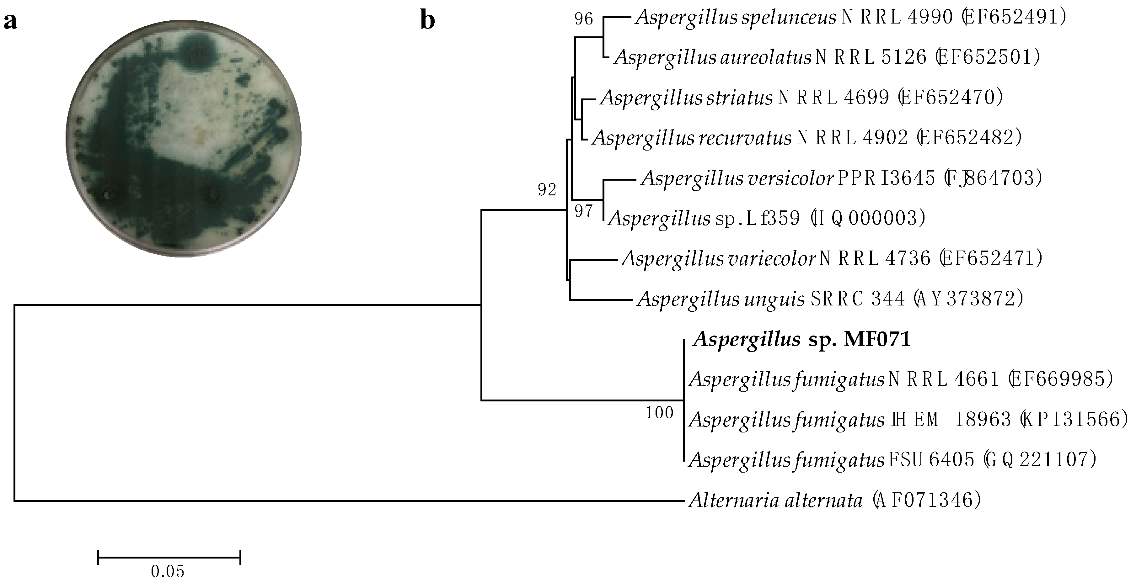 Marinedrugs 18 00352 g001