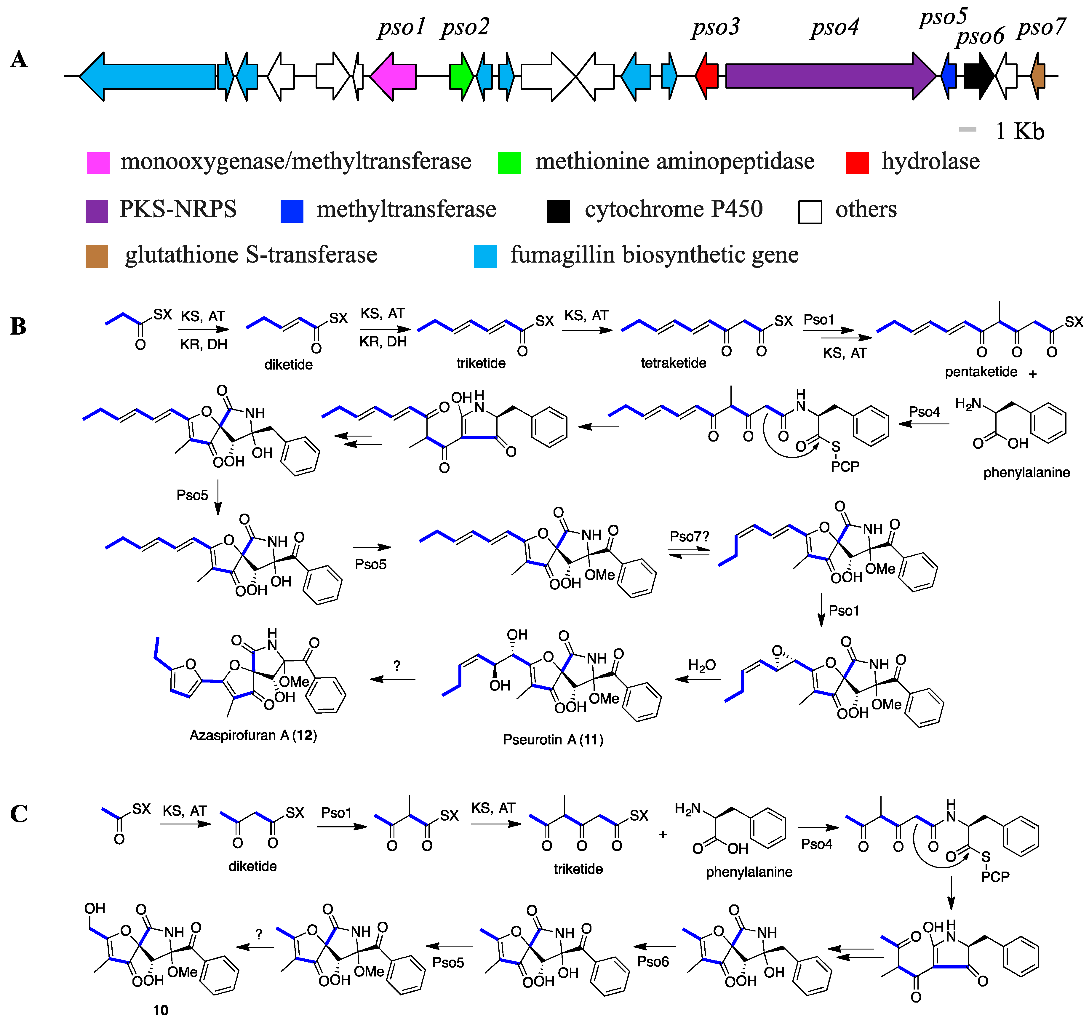 Marinedrugs 18 00352 g005