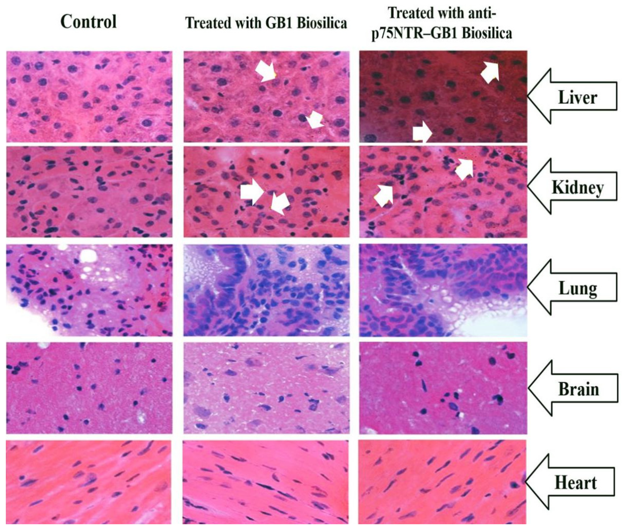 Marinedrugs 18 00356 g008