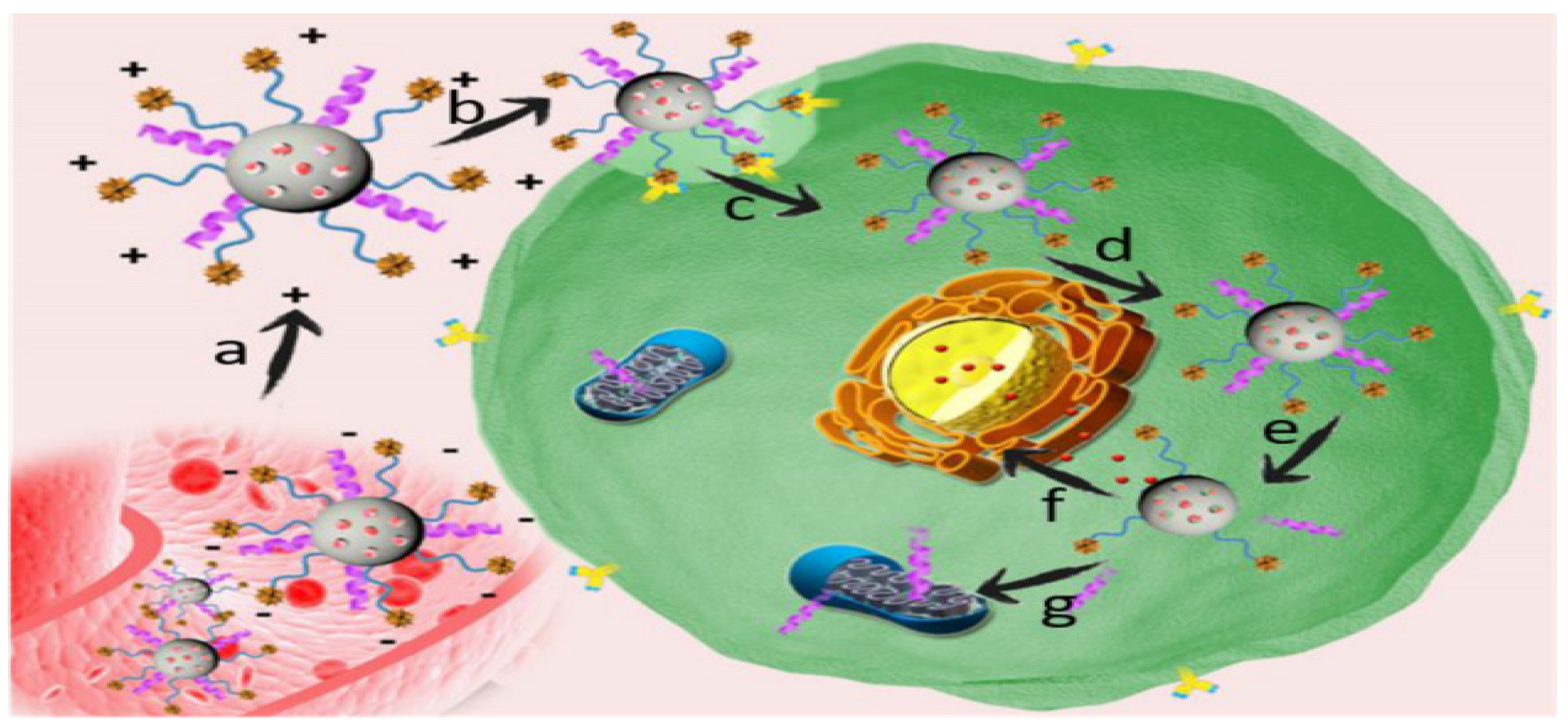 Marinedrugs 18 00356 g009