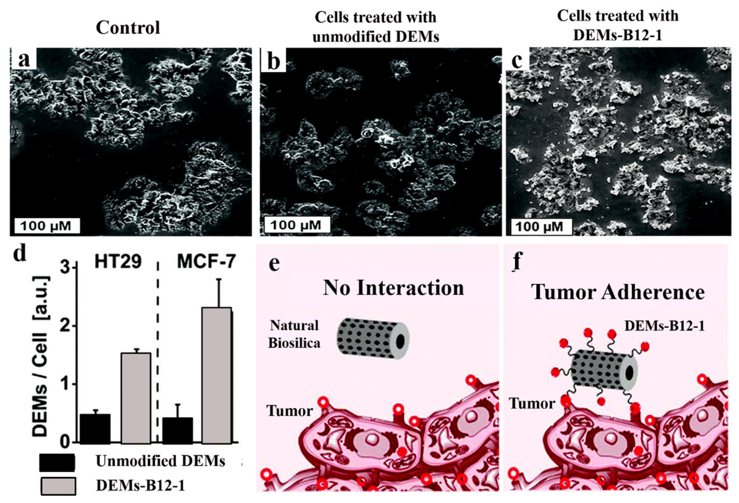 Marinedrugs 18 00356 g012