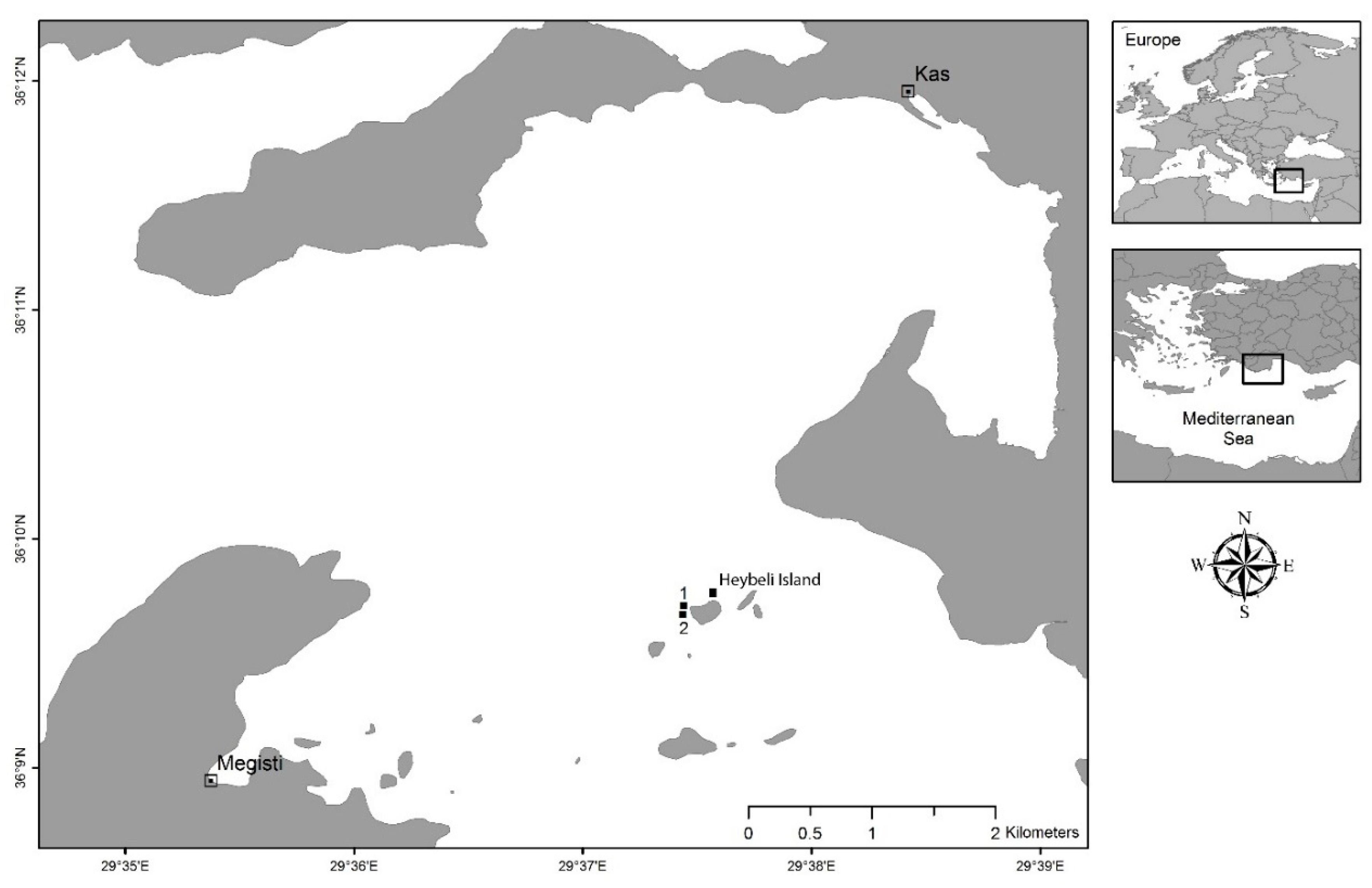Marinedrugs 18 00358 g002