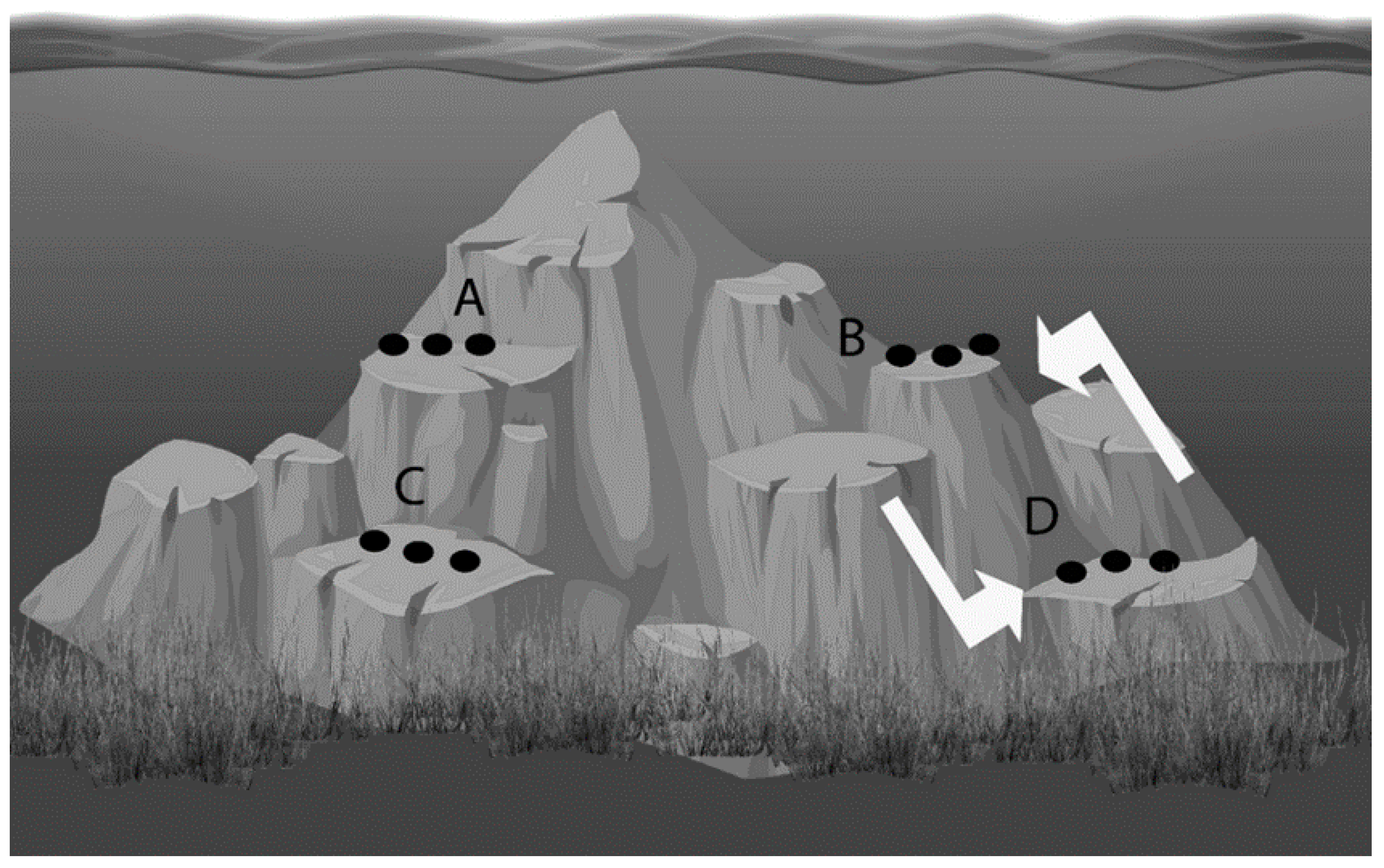 Marinedrugs 18 00358 g004