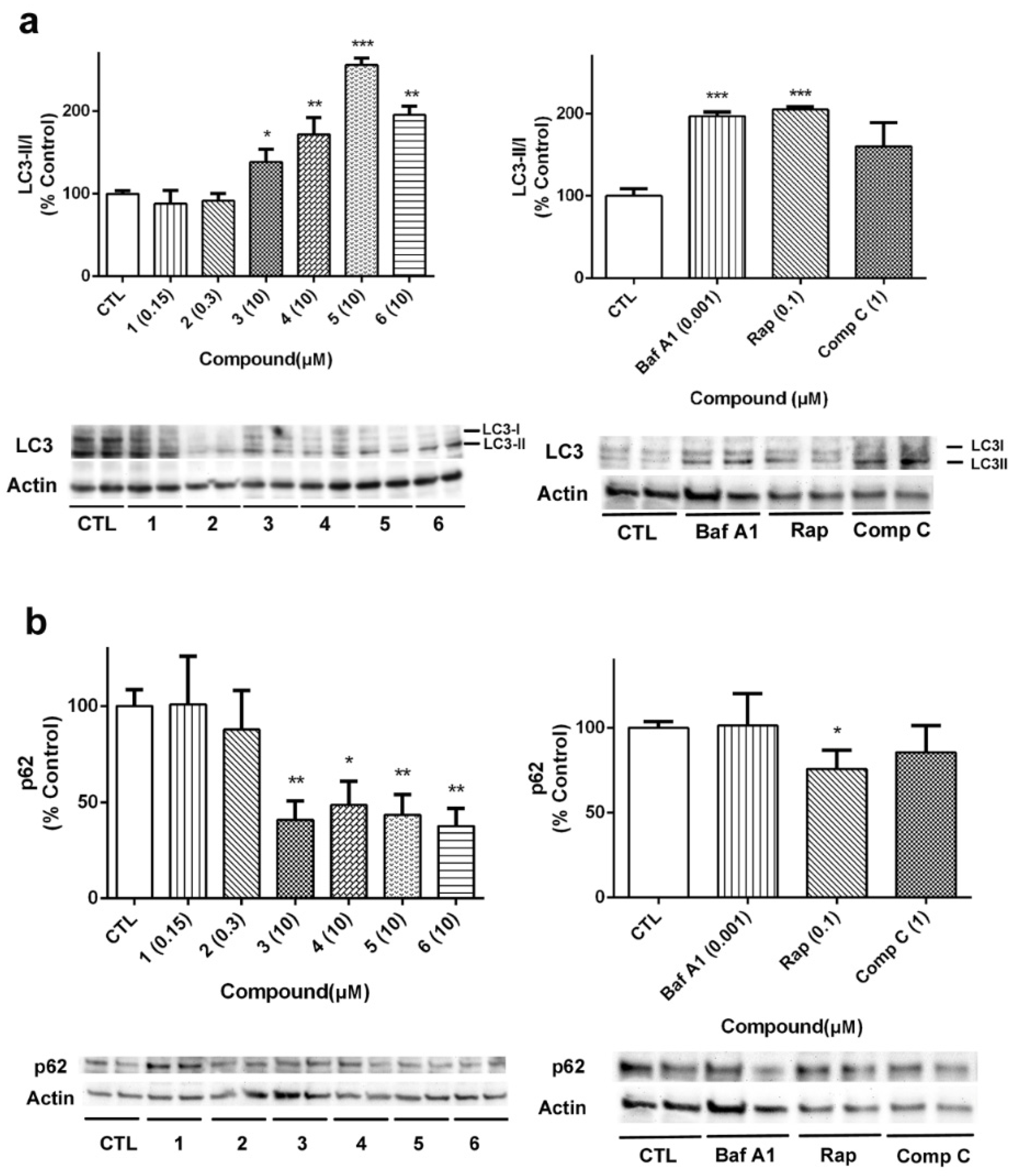 Marinedrugs 18 00364 g010