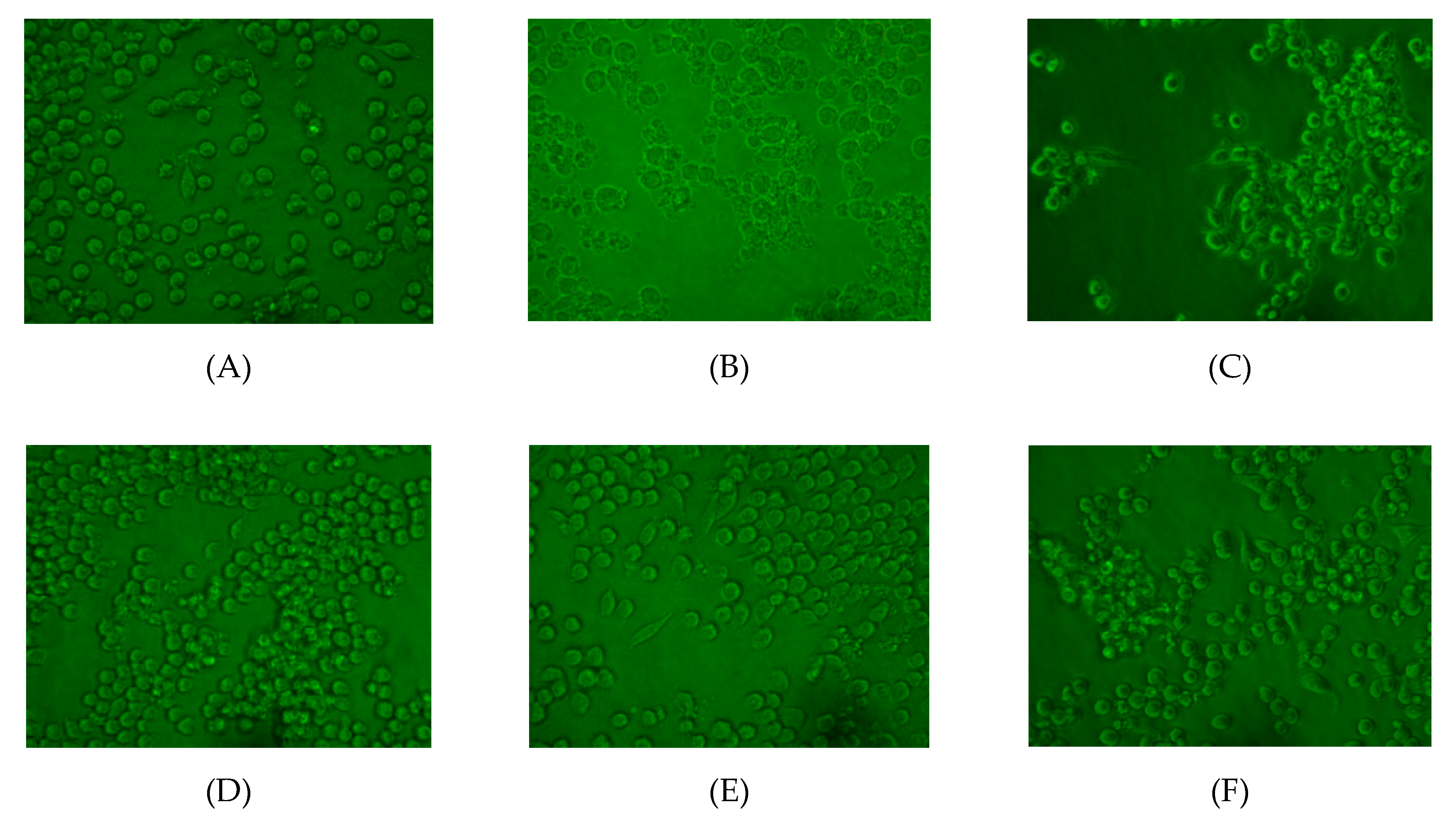 Marinedrugs 18 00370 g006