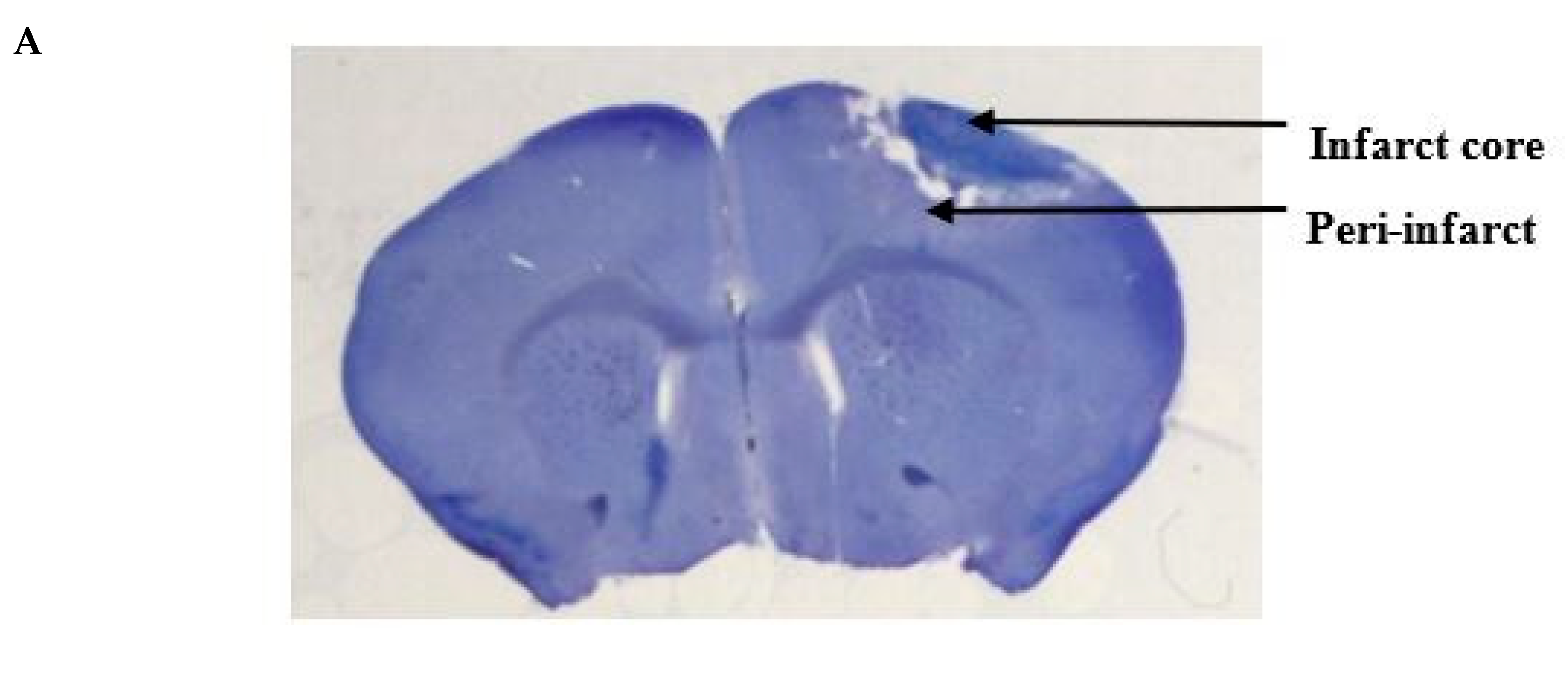 Marinedrugs 18 00374 g002a